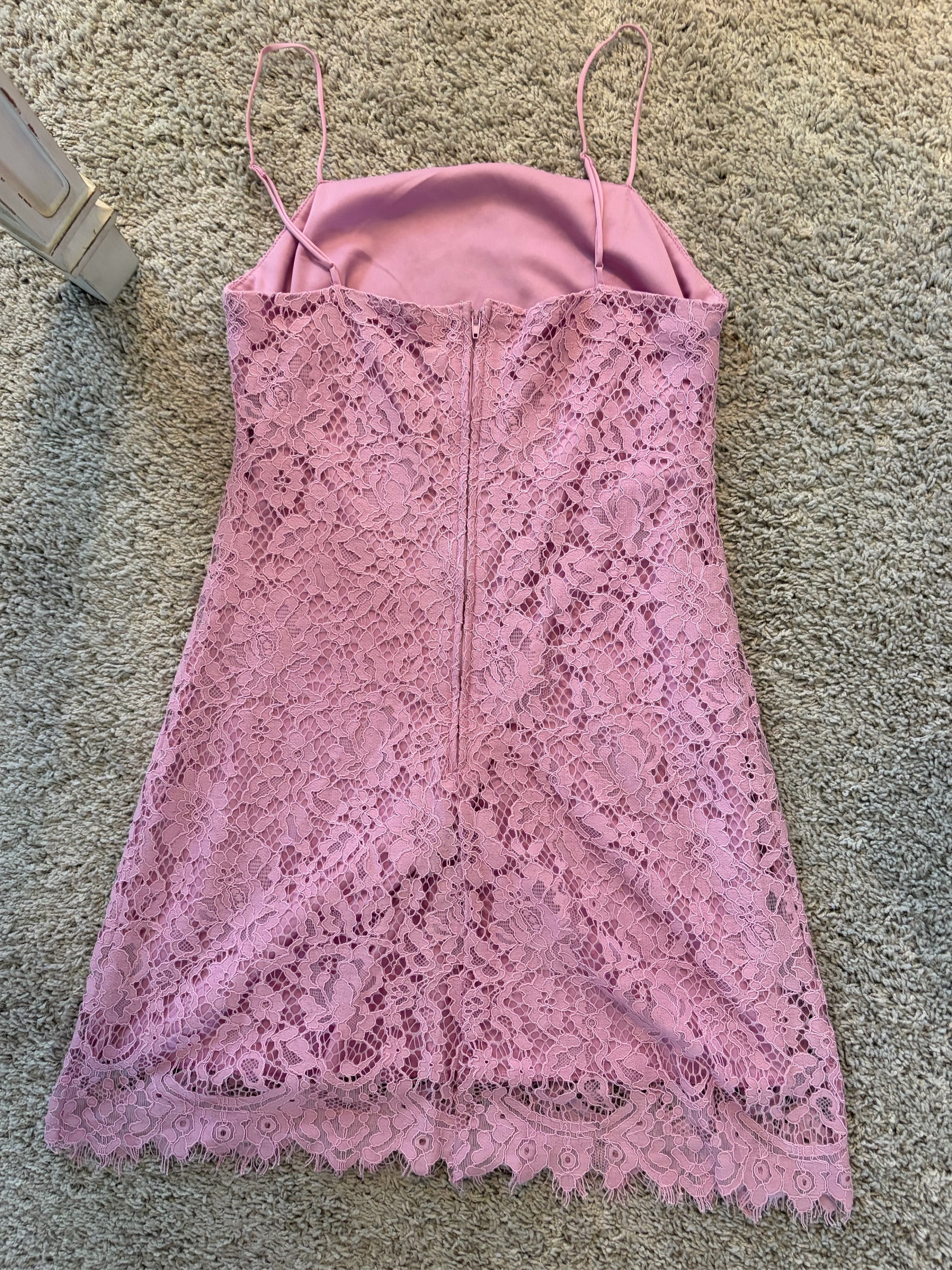 Francesca lace lilac mini dress by Franscescas - Pickle