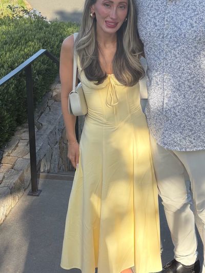 alessia drop waist dress sndys Sndys Alessia Dress