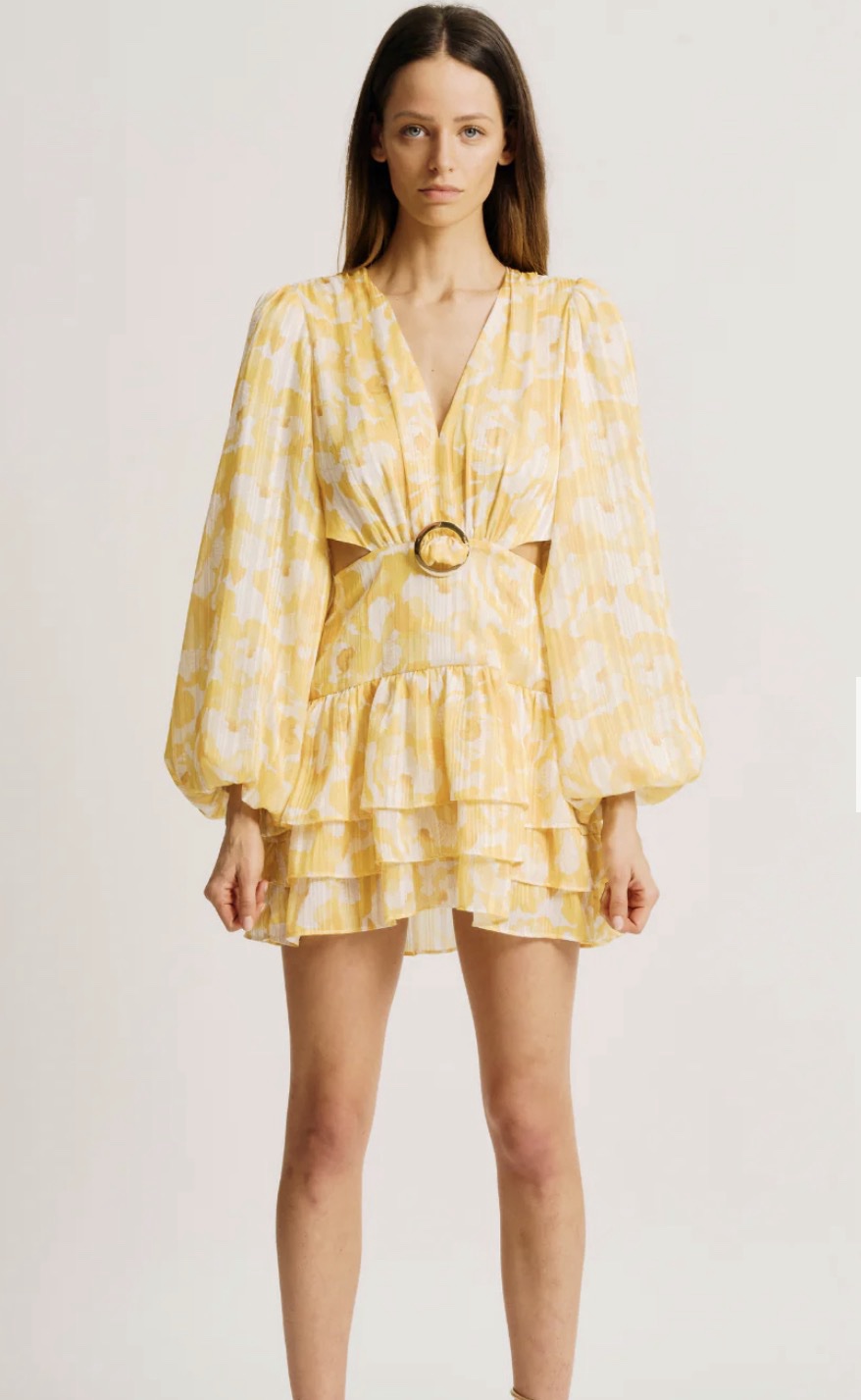 Torn by Ronnie Kobo CASSIE LONG SLEEVE DRESS
