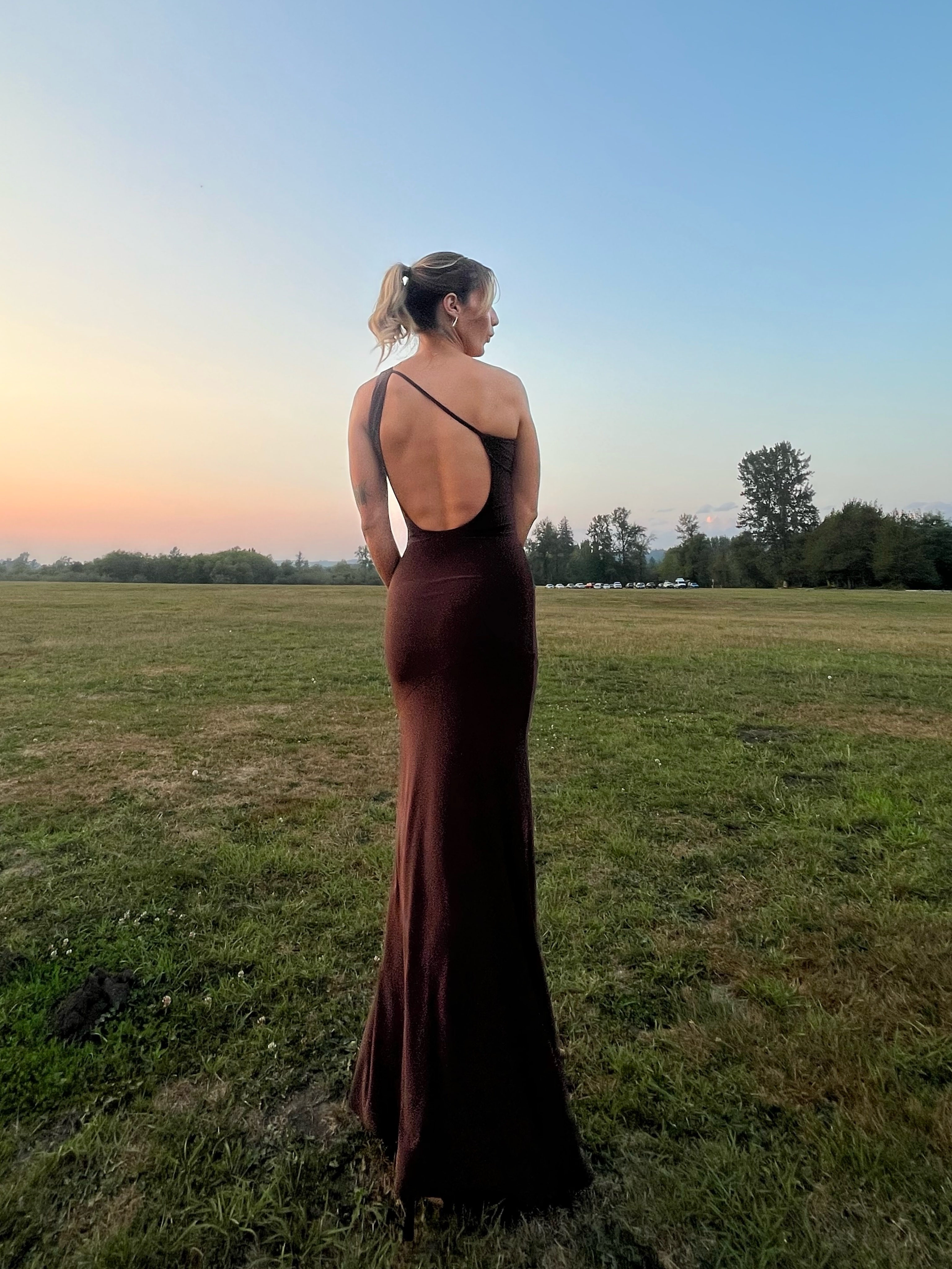 Chocolate brown backless gown