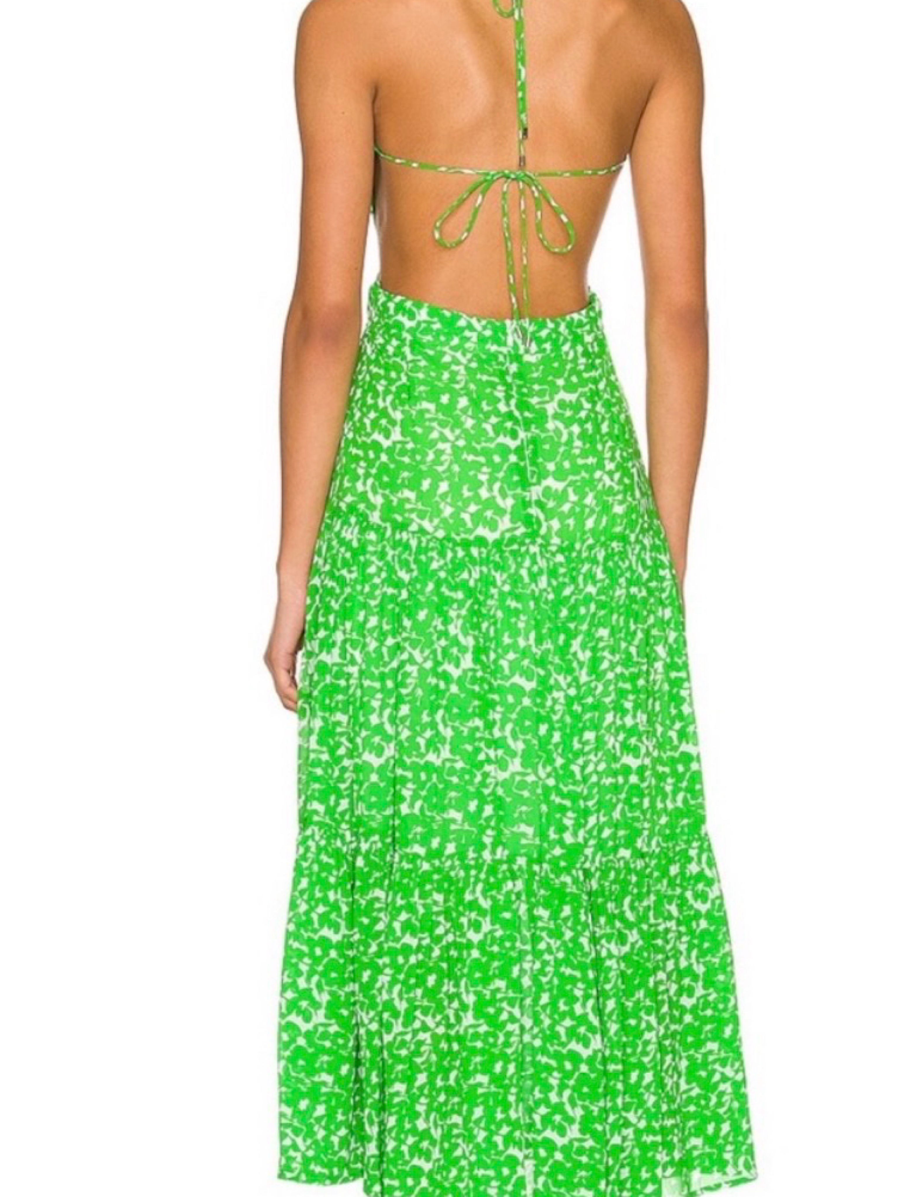 Karina Grimaldi Lily Maxi Dress in Lime by Karina Grimaldi - Pickle