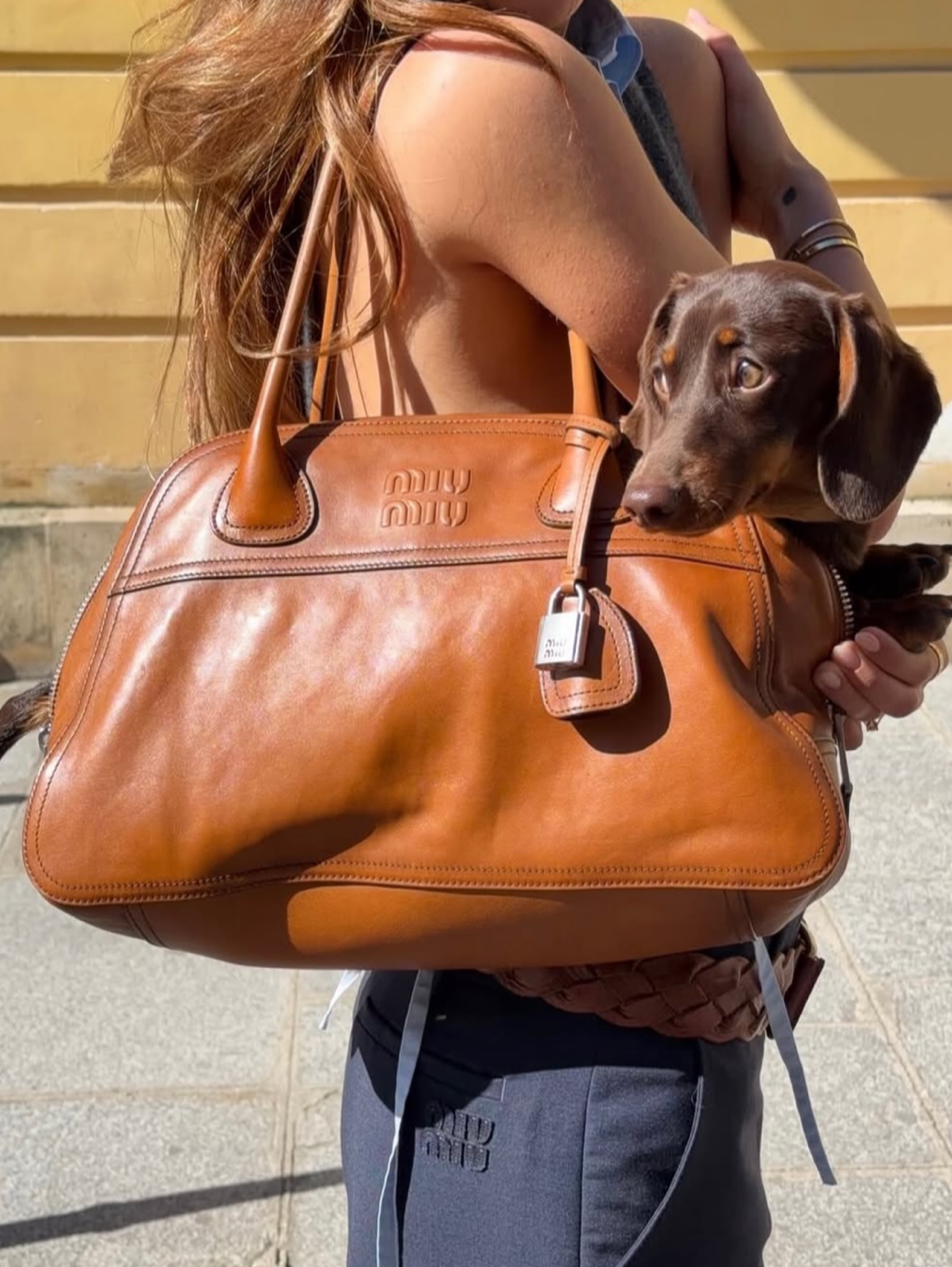 Miu Miu Miu Miu viviant bag tote available to rent
