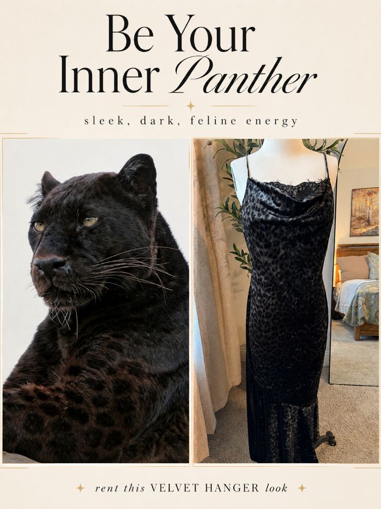black panther dress Sexy / Cat Costume | Saylor Velvet Leopard by Saylor Birthday Dresses for 18th, Sarah Velvet Colors:Red 735 Sensational Shuri Embrace the