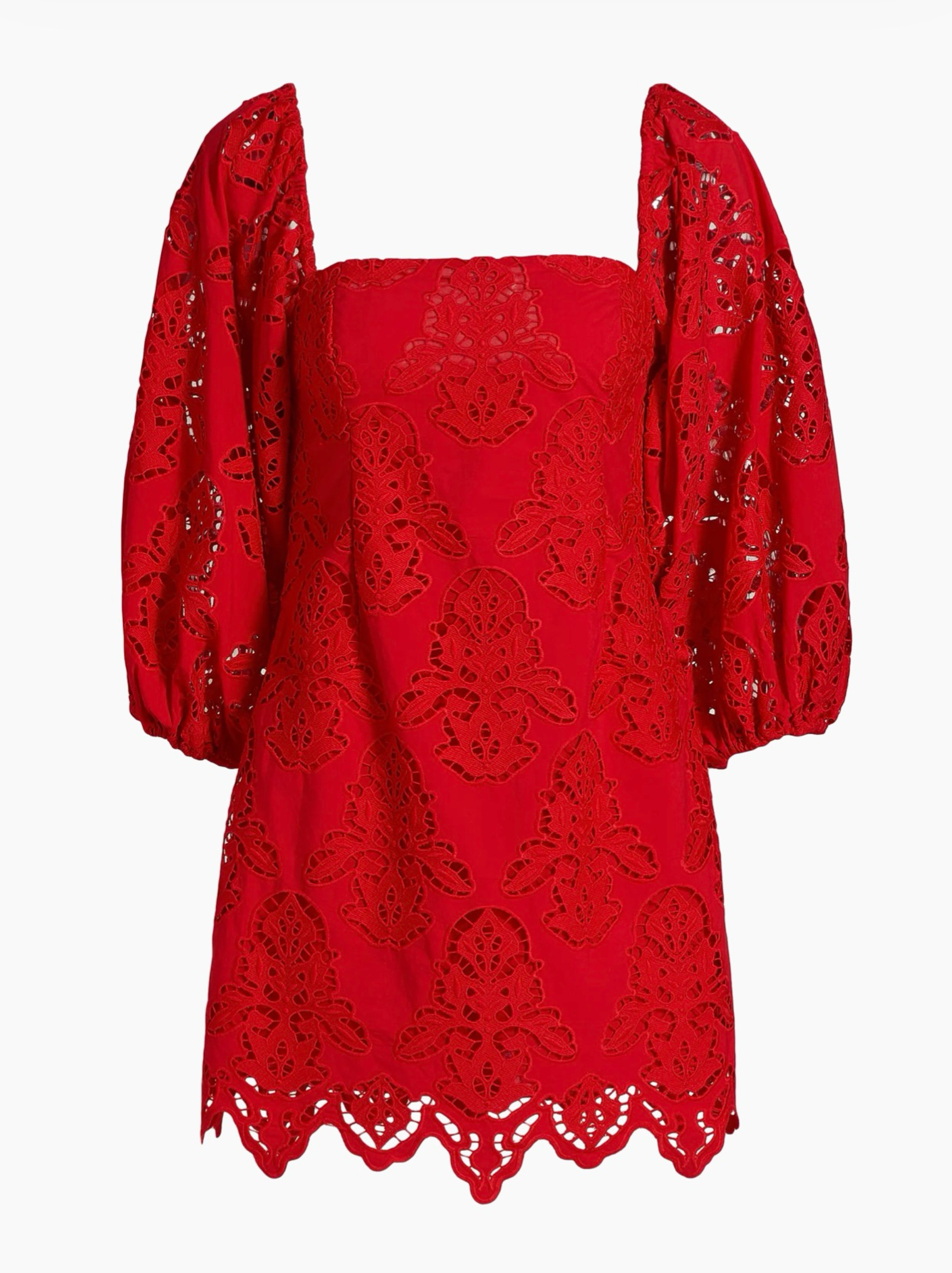 Cara Cara Cotton Lace Minidress