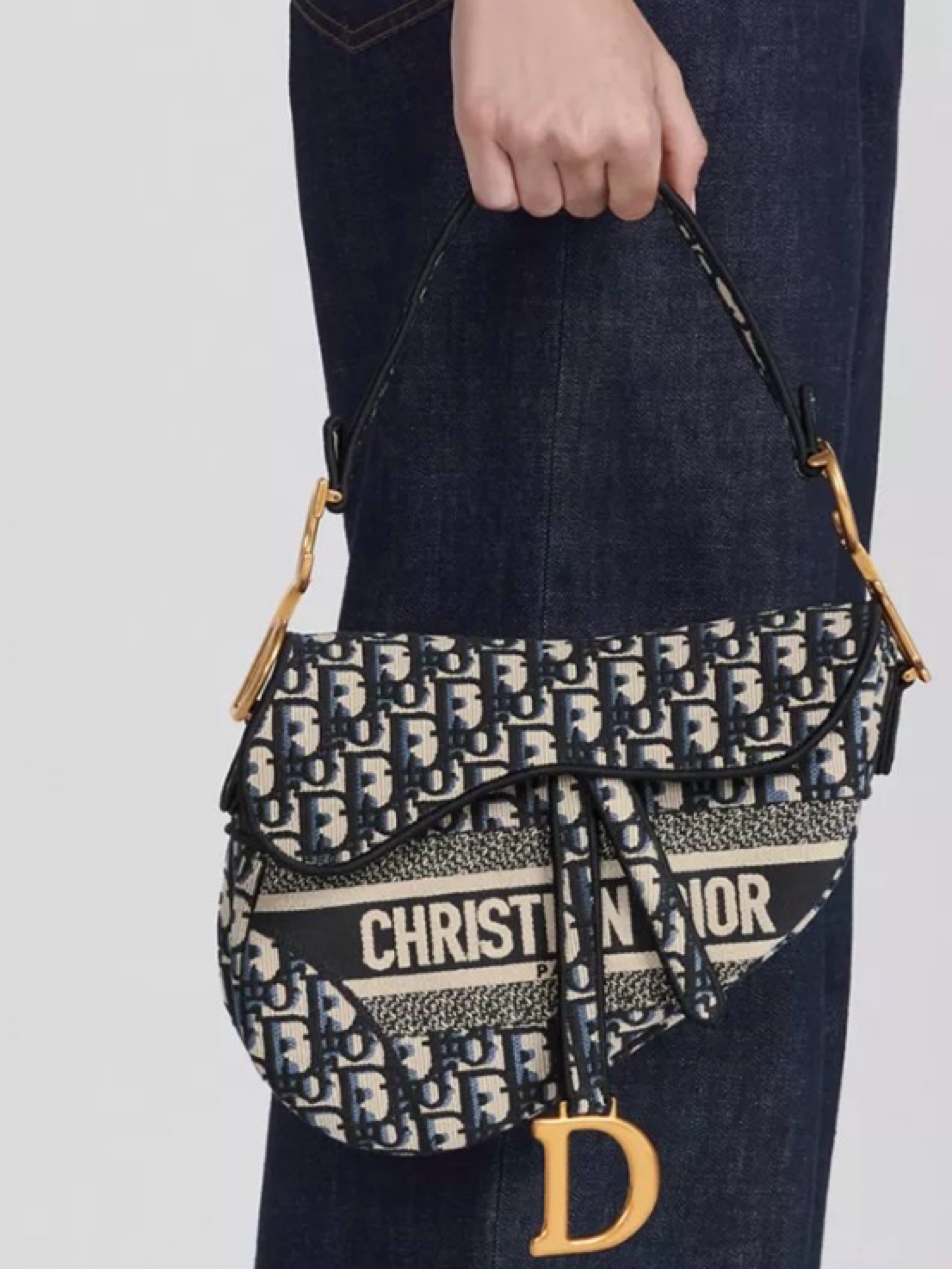 Oblique Embroidered Saddle Bag