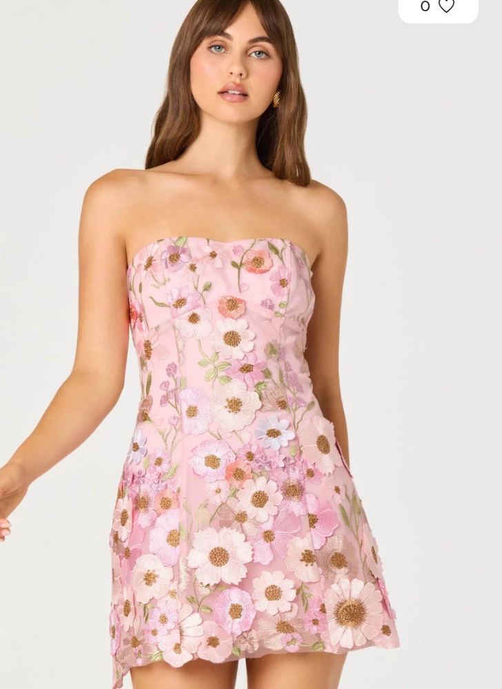 Julisa Embroidered Floral Strapless Mini Dress