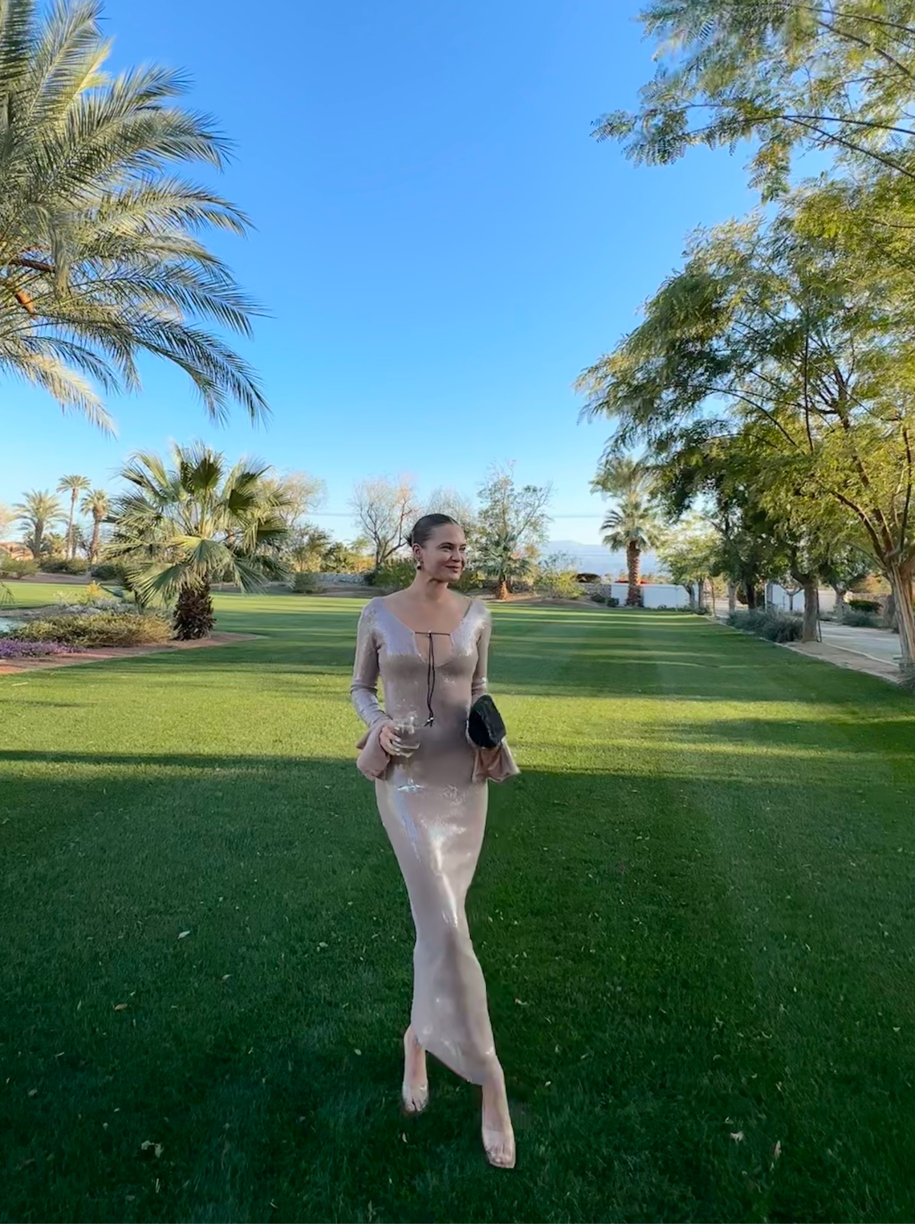 The Hailey Bieber Sequin Dress