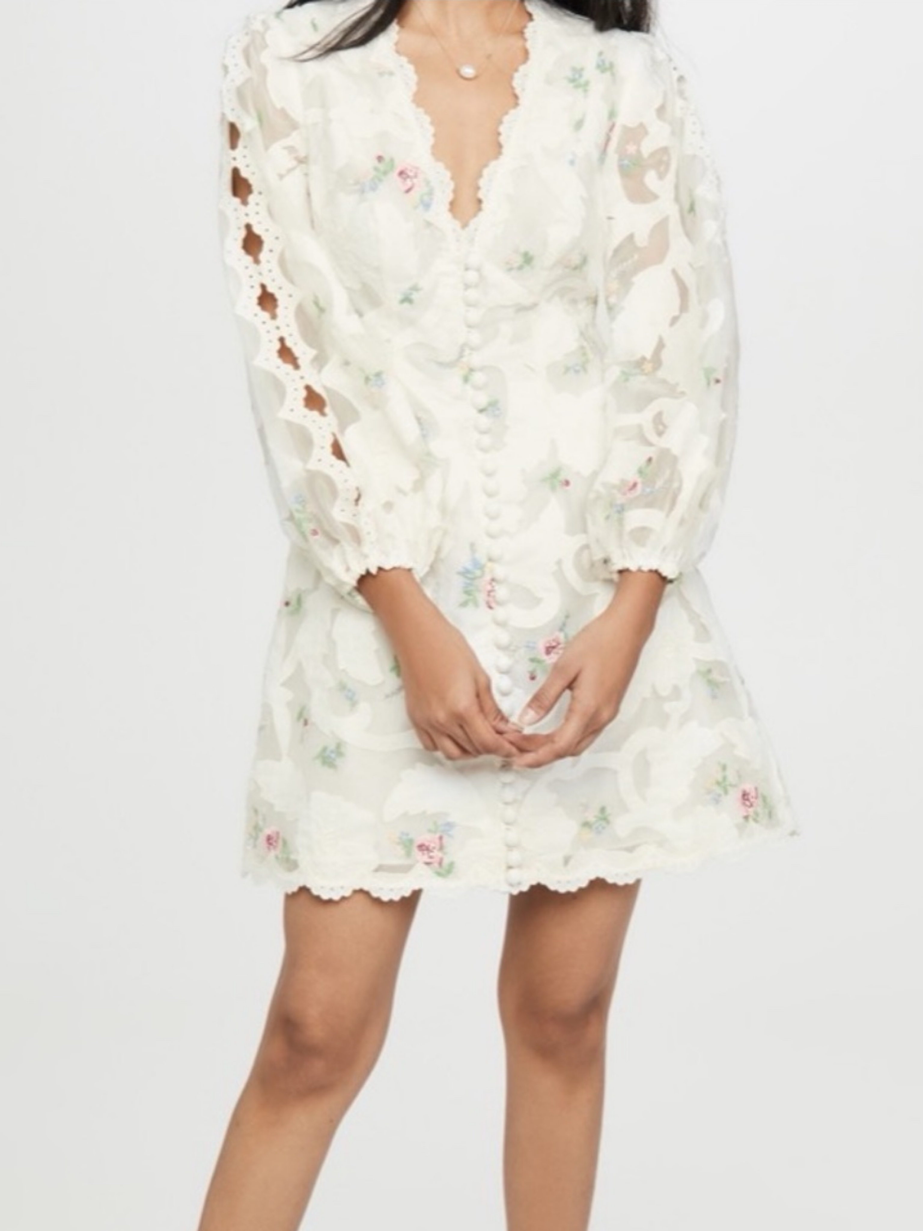 Zimmermann Zinnia Silk Linen Embroidered Organza Mini Dress