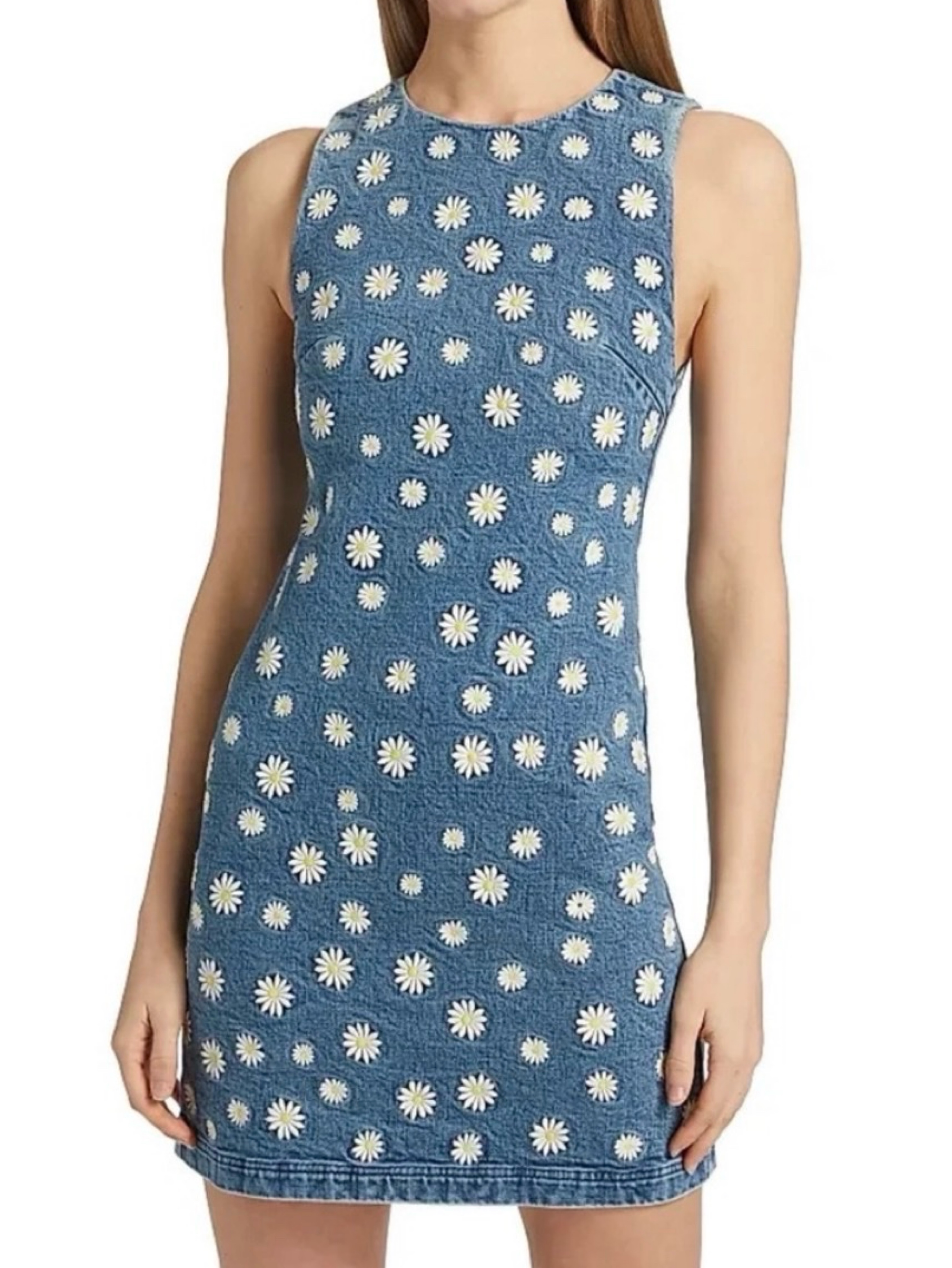 Alice + Olivia Blue Daisy Denim Dress and Jacket