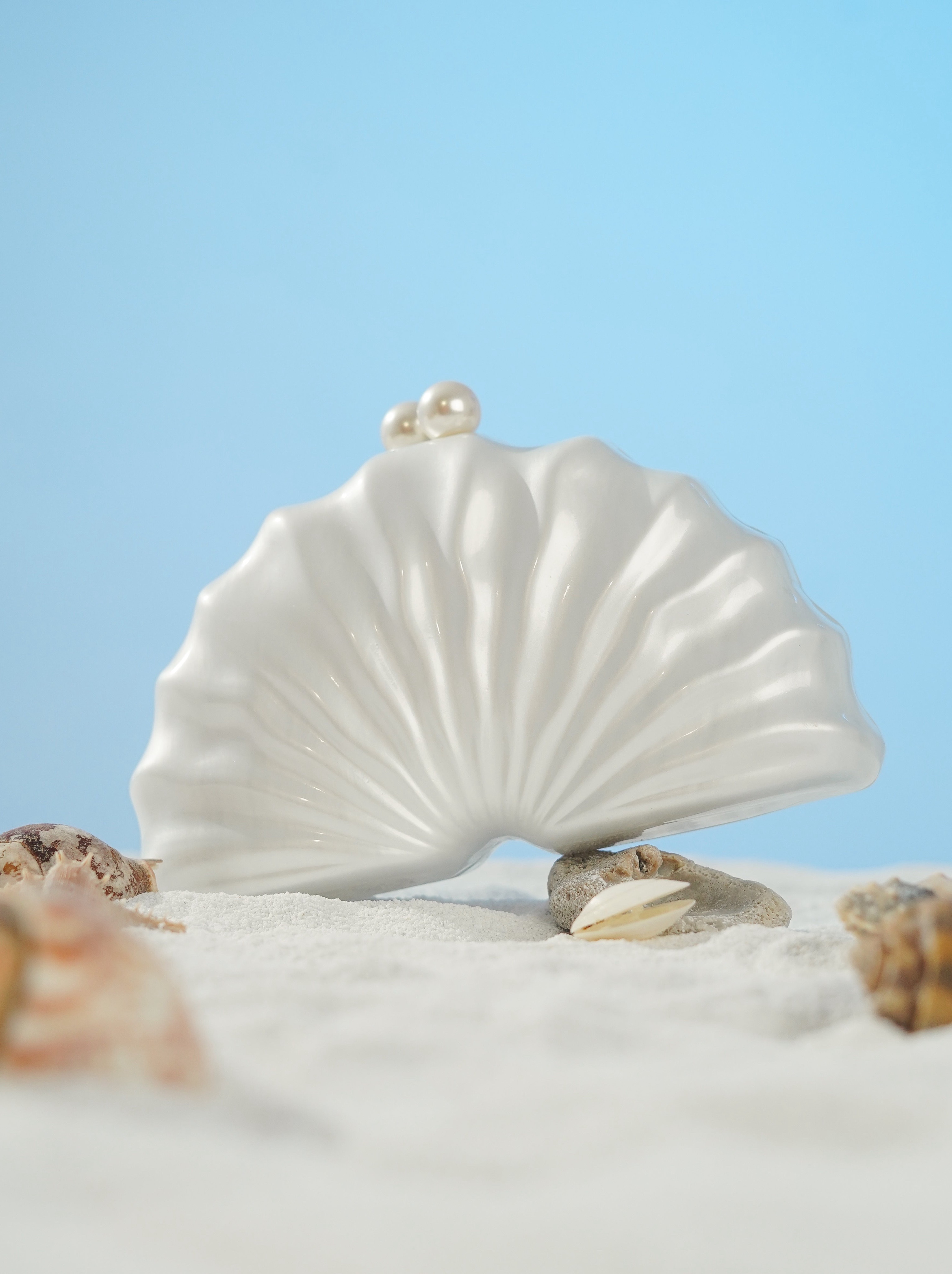 Seashell Acrylic Bag