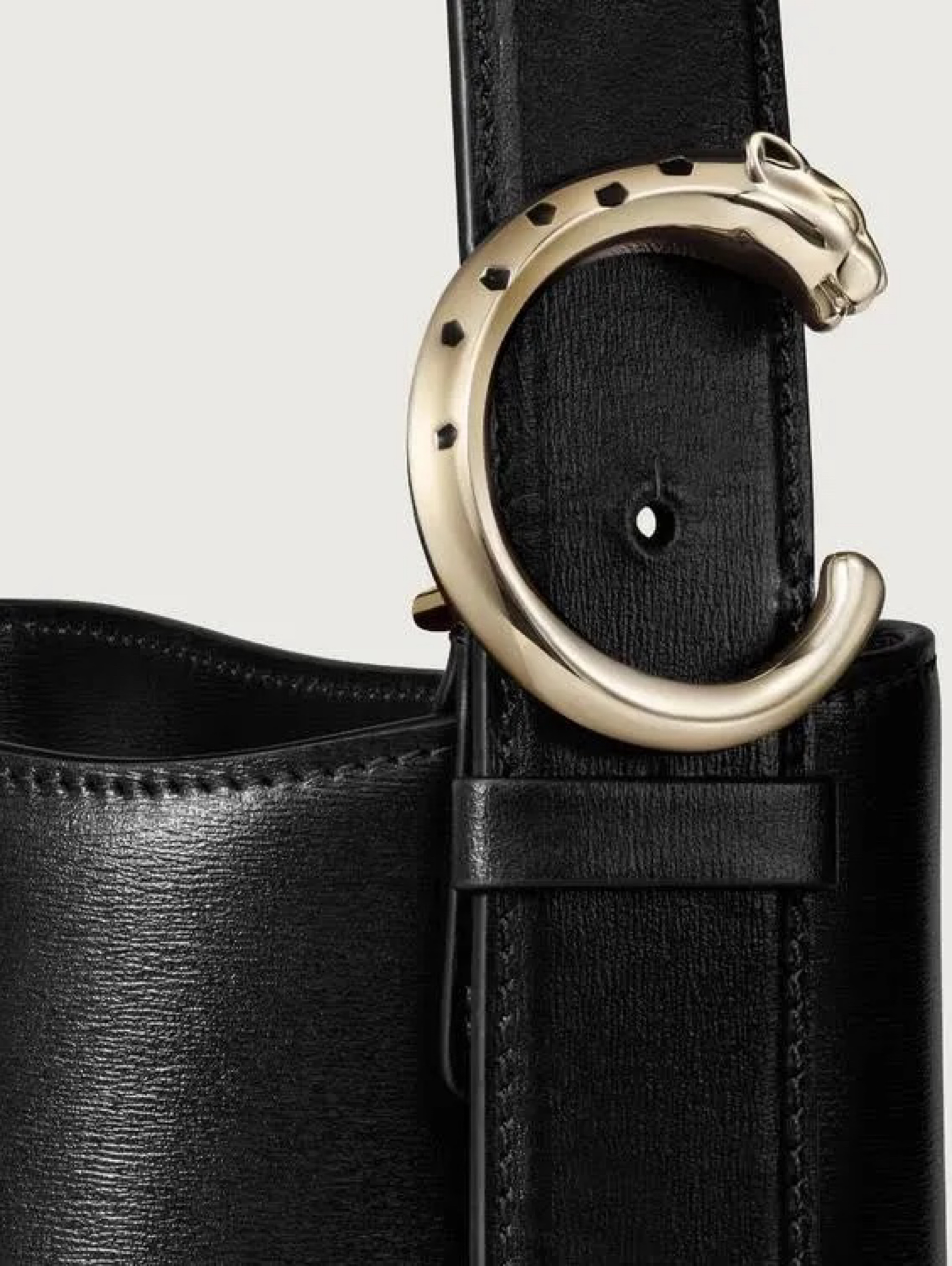 CARTIER SMALL BUCKET BAG, PANTHÈRE C by Cartier - Pickle