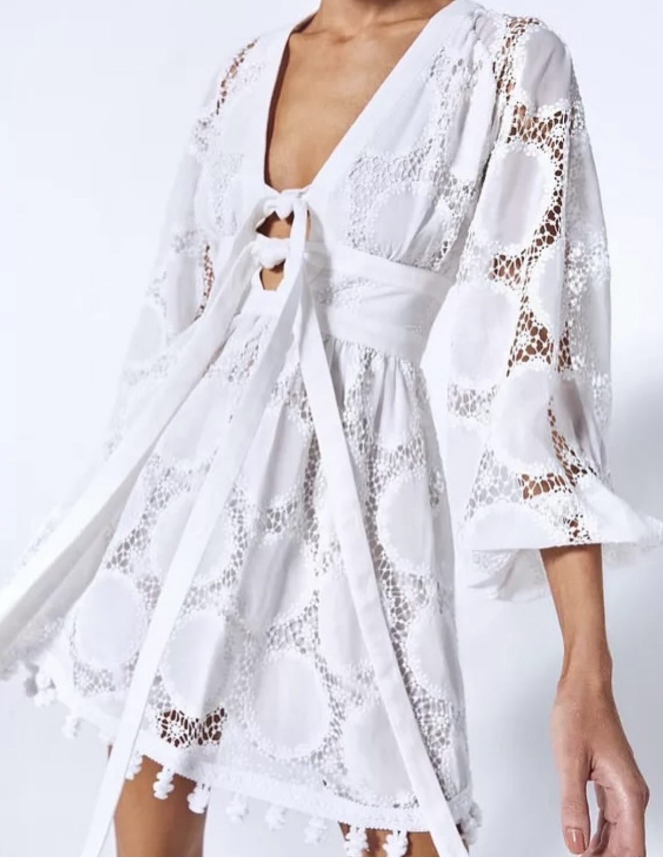 Alexis Mathilde Embroidered Mini Dress | White Lace Long-Sleeve Mini Dress by Alexis - Pickle Alexis Mathilde Embroidered Mini Dress | White Lace Long-Sleeve Mini Dress by Alexis - Pickle