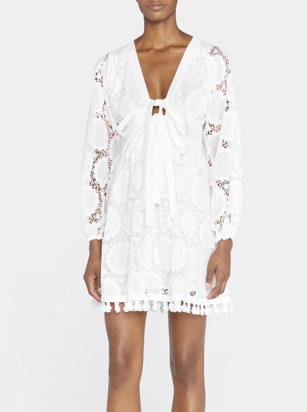 Alexis Mathilde Embroidered Mini Dress | White Lace Long-Sleeve Mini Dress  by Alexis - Pickle