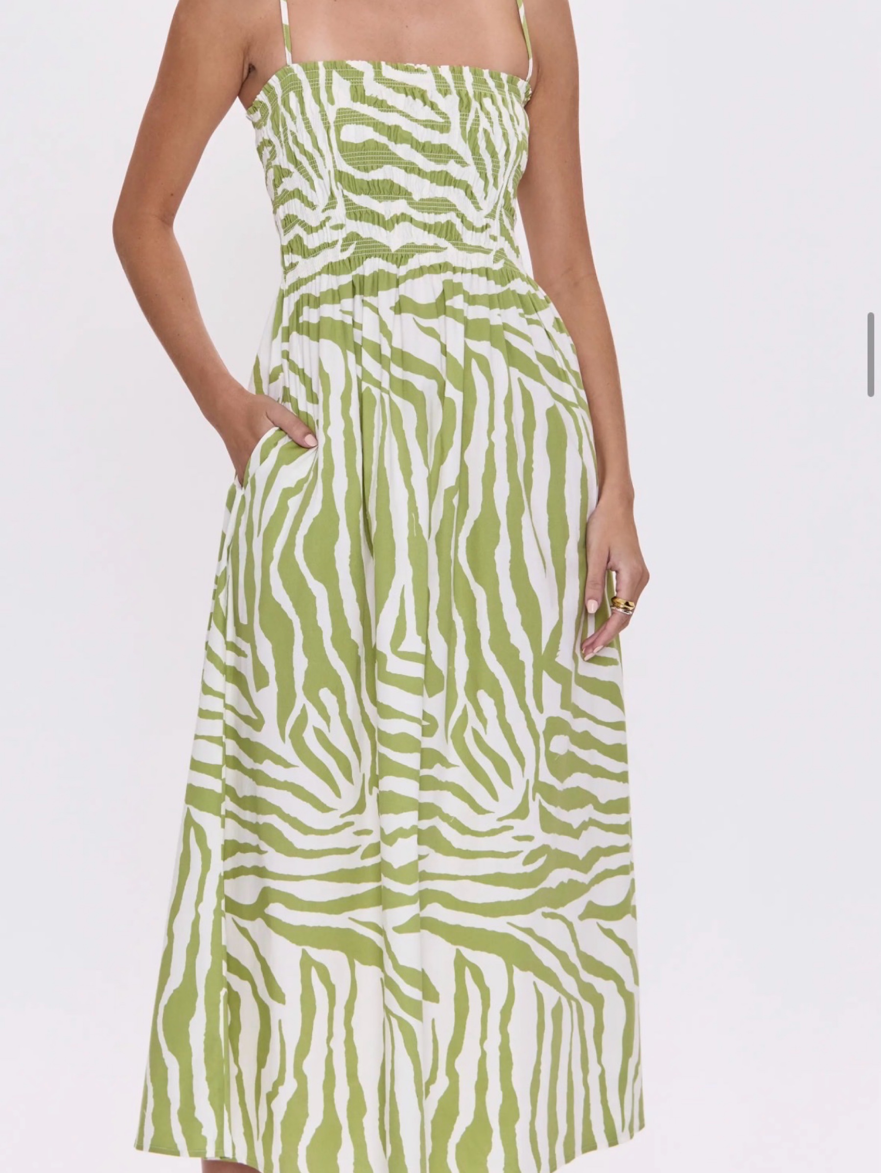Pistola Green Zebra Stripe Midi Dress by Pistola