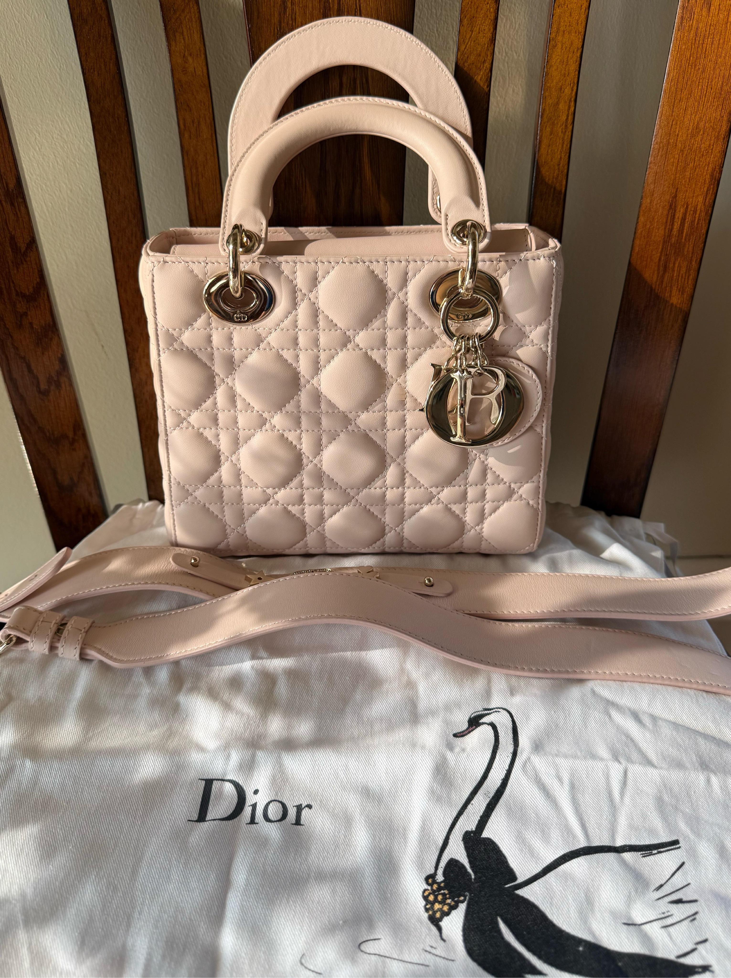 Small Pale Pink Lady Dior Bag