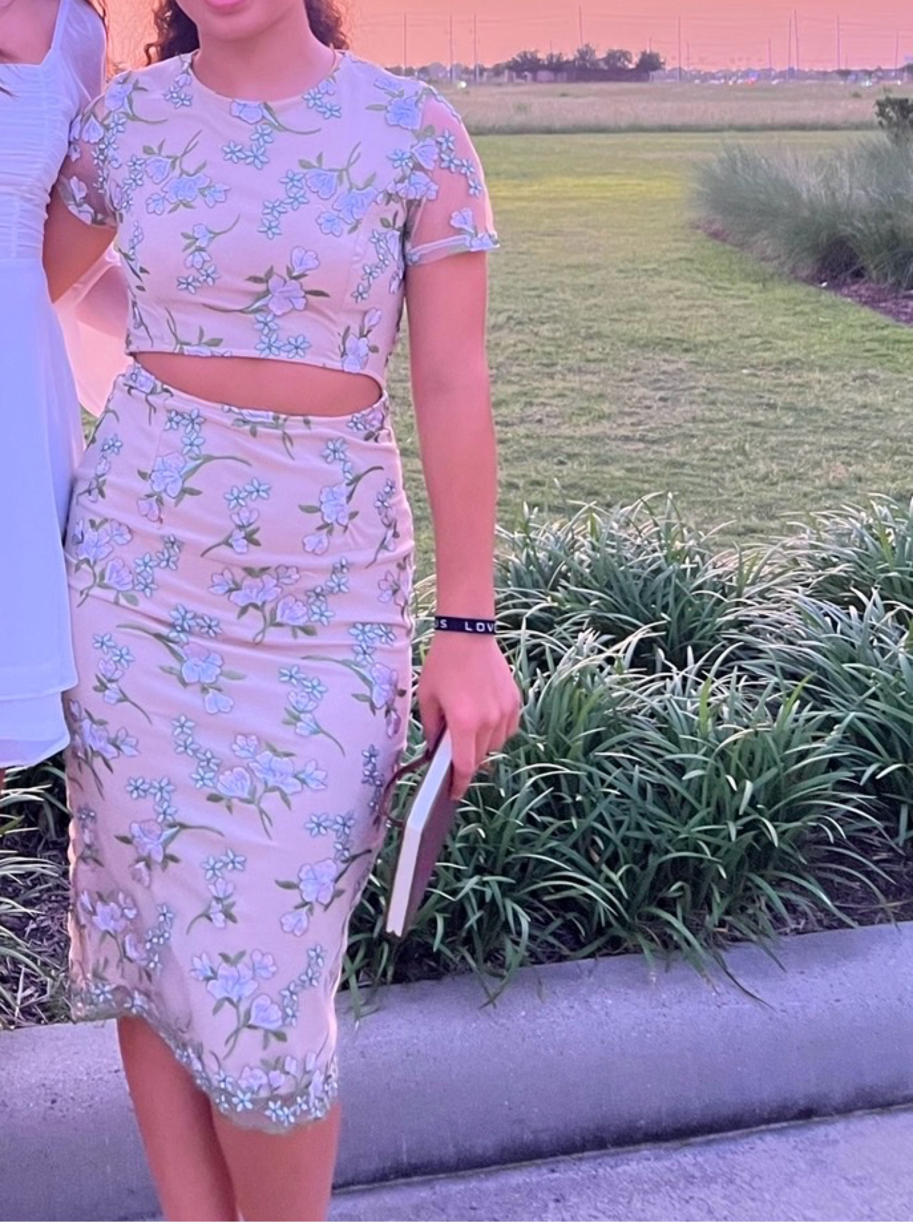 Pretty little thing Pink Floral Cutout Dress