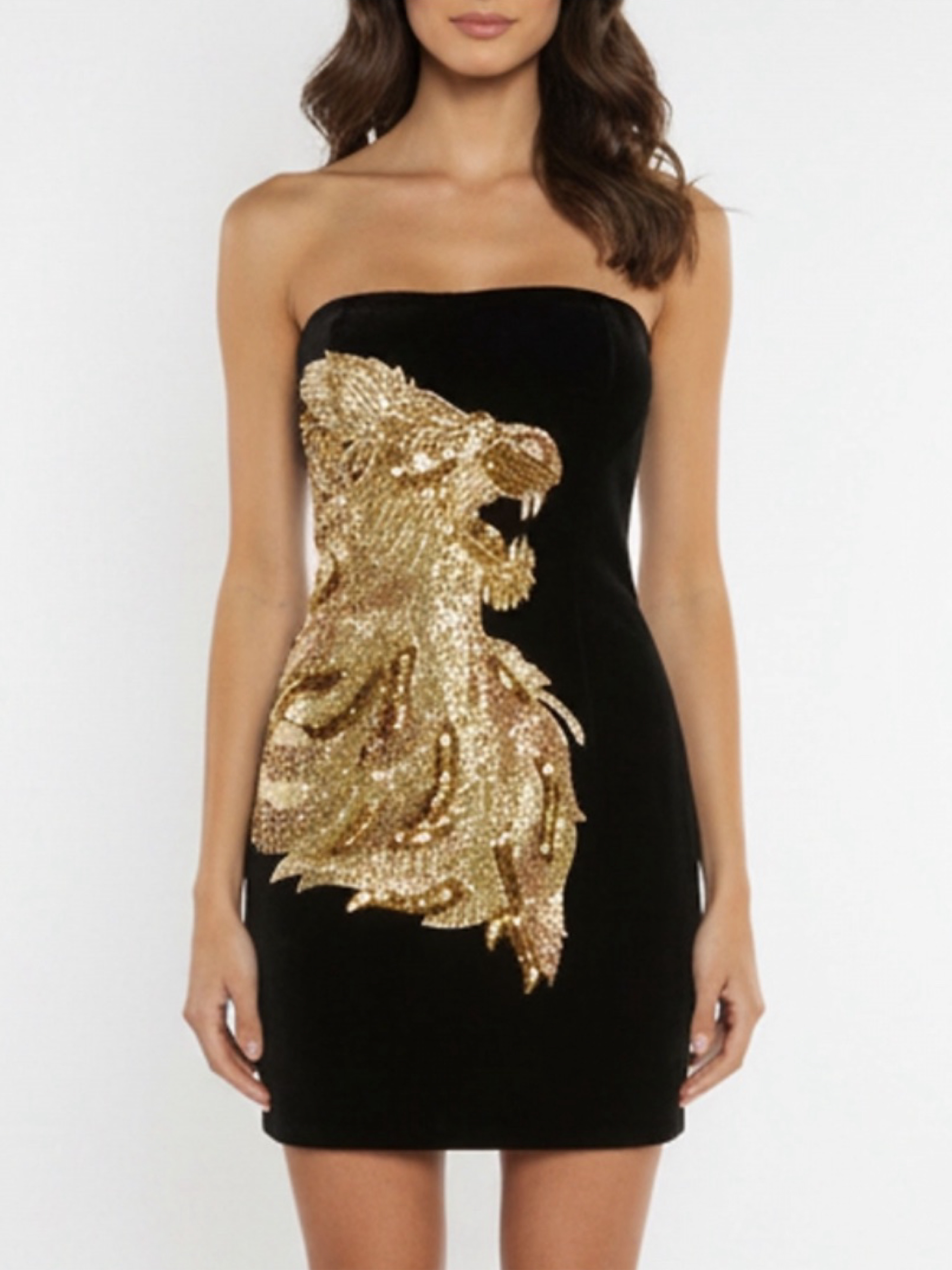 balmain gold and black dress & Lion Embroidered Mini by Balmain modelling instagram princess andre