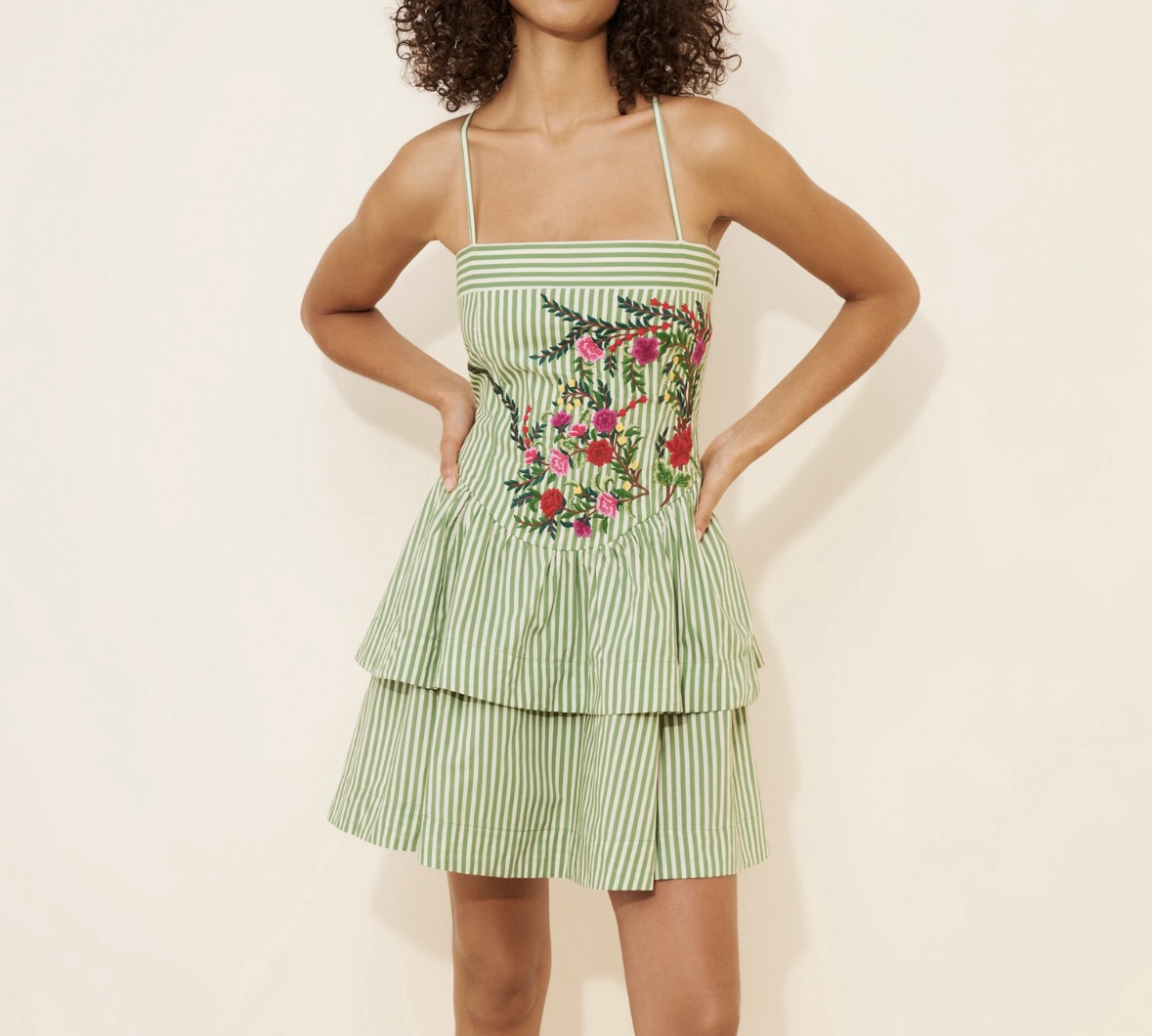 Anthropologie Drop Waist Embroidered Dress by Maeve by anthropologie -  Pickle