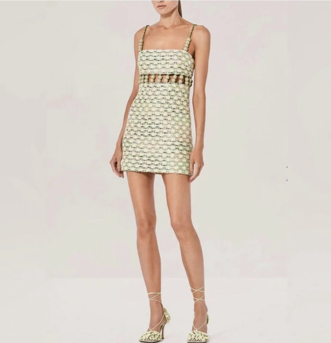 alexis beaded mini dress ALEXIS Delma Dress BEADED BROWN / XXS
