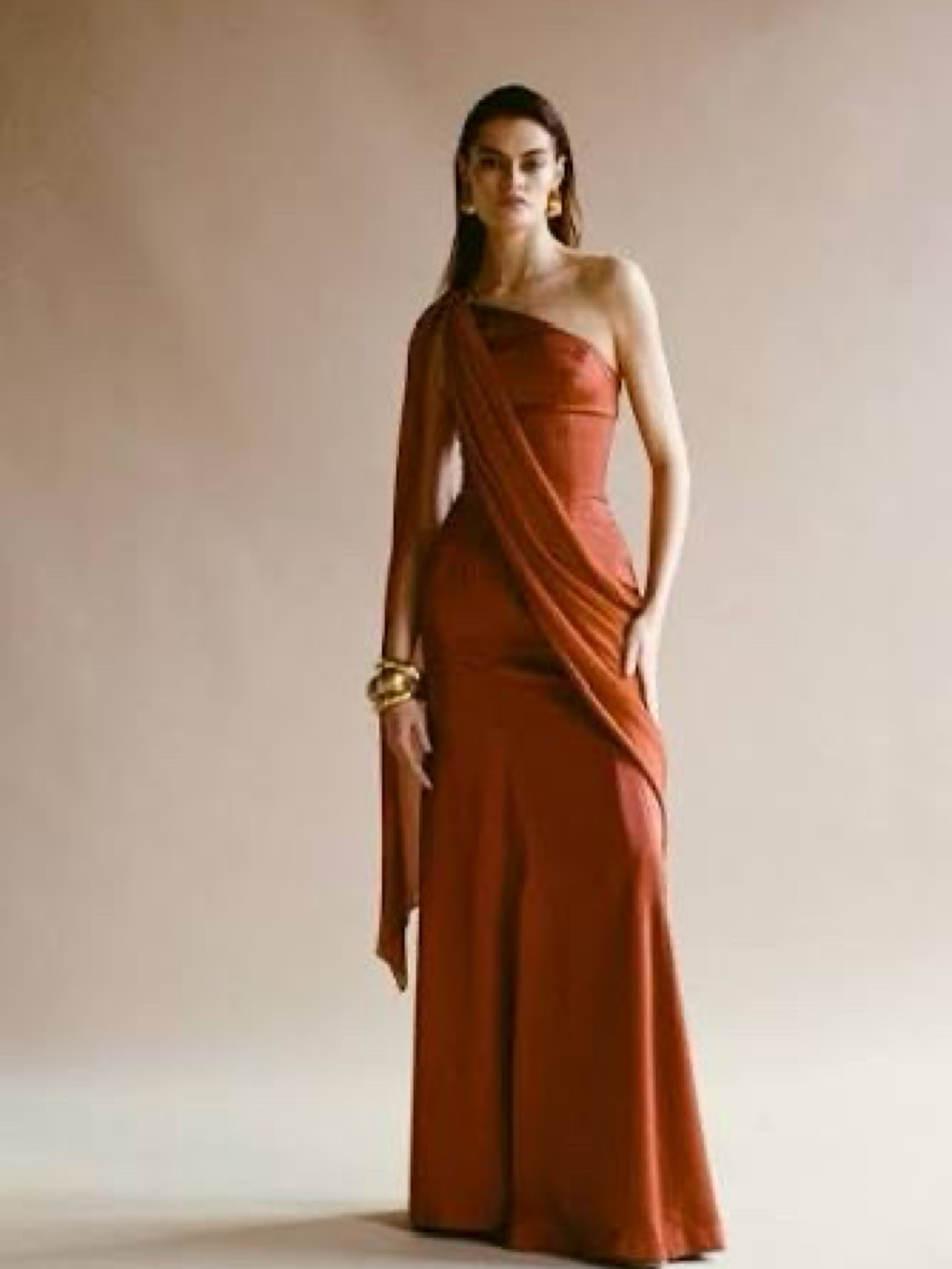 Terracotta Amra Sari Gown