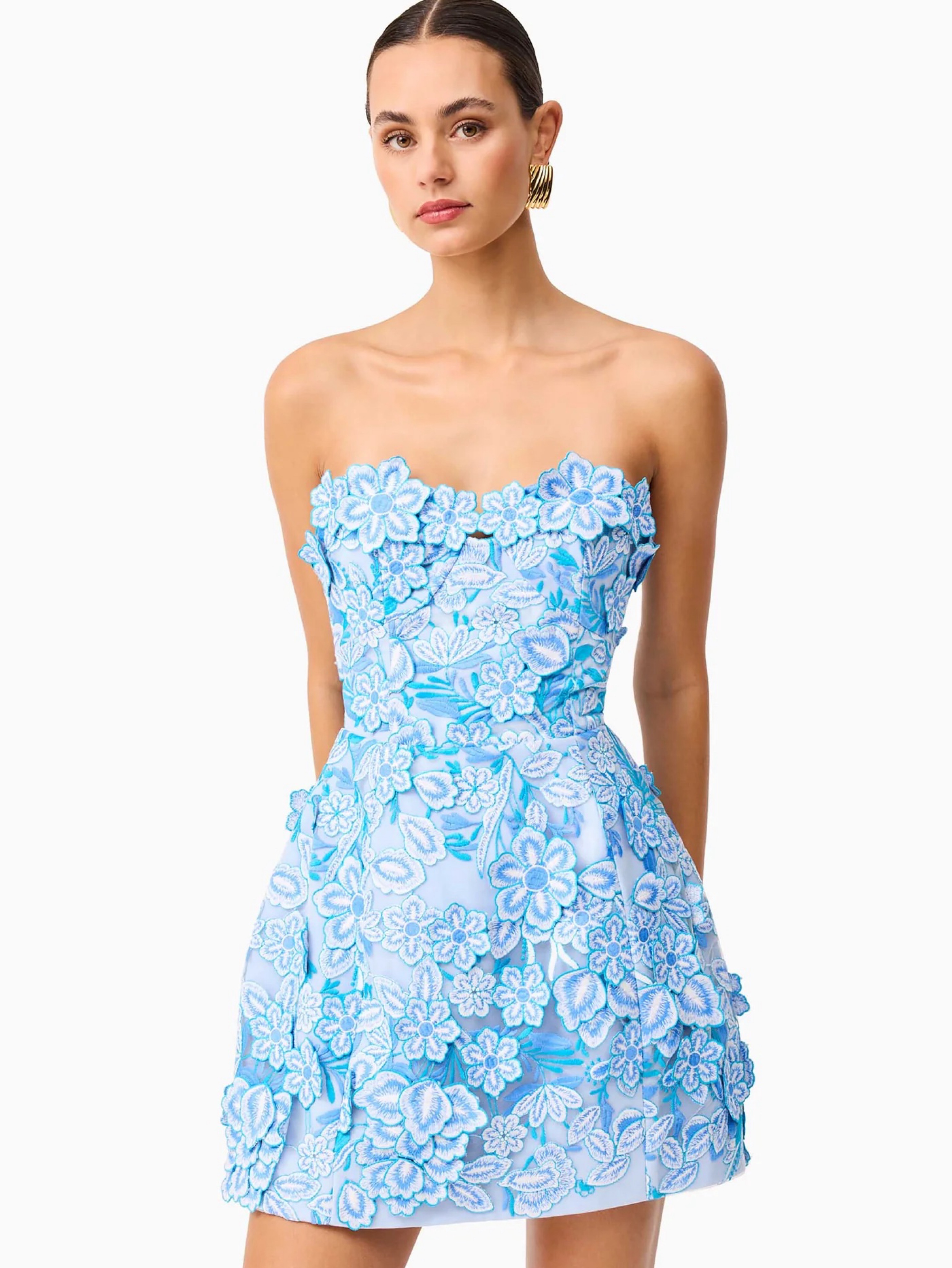 roseate floral mini dress in blue Rothea Mini Dress Blue / Floral