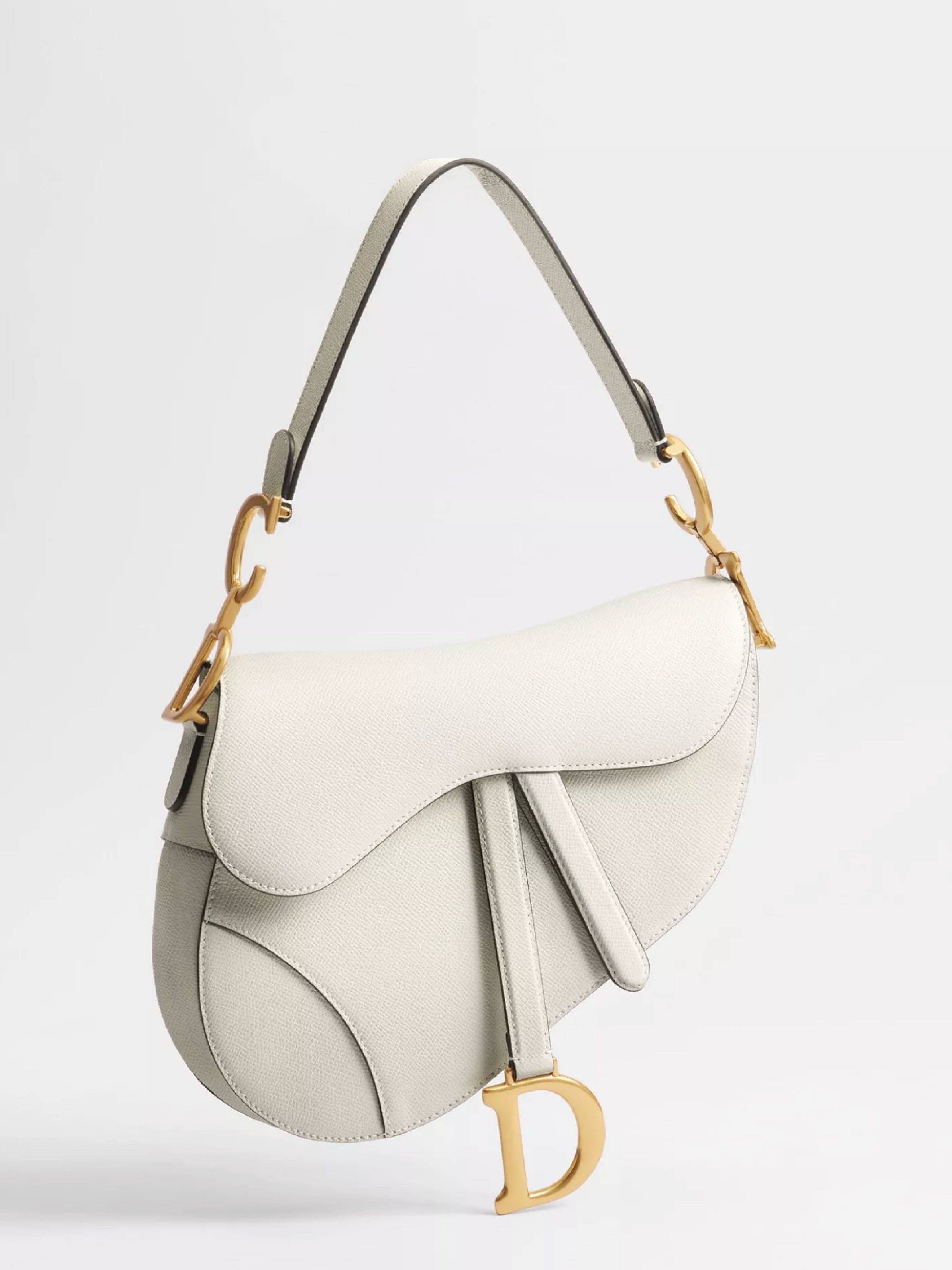 Dior saddle bag