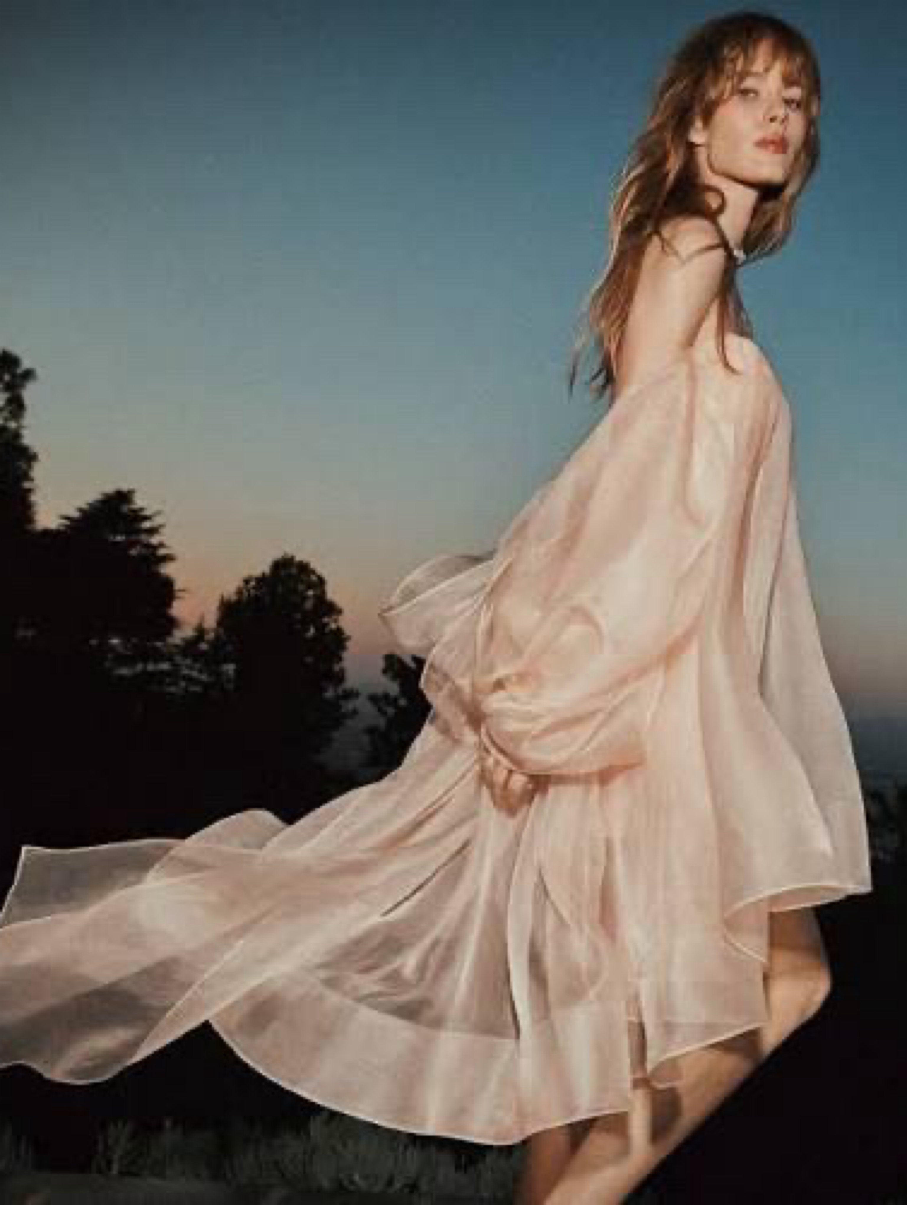 Zimmerman Blush Organza Dress