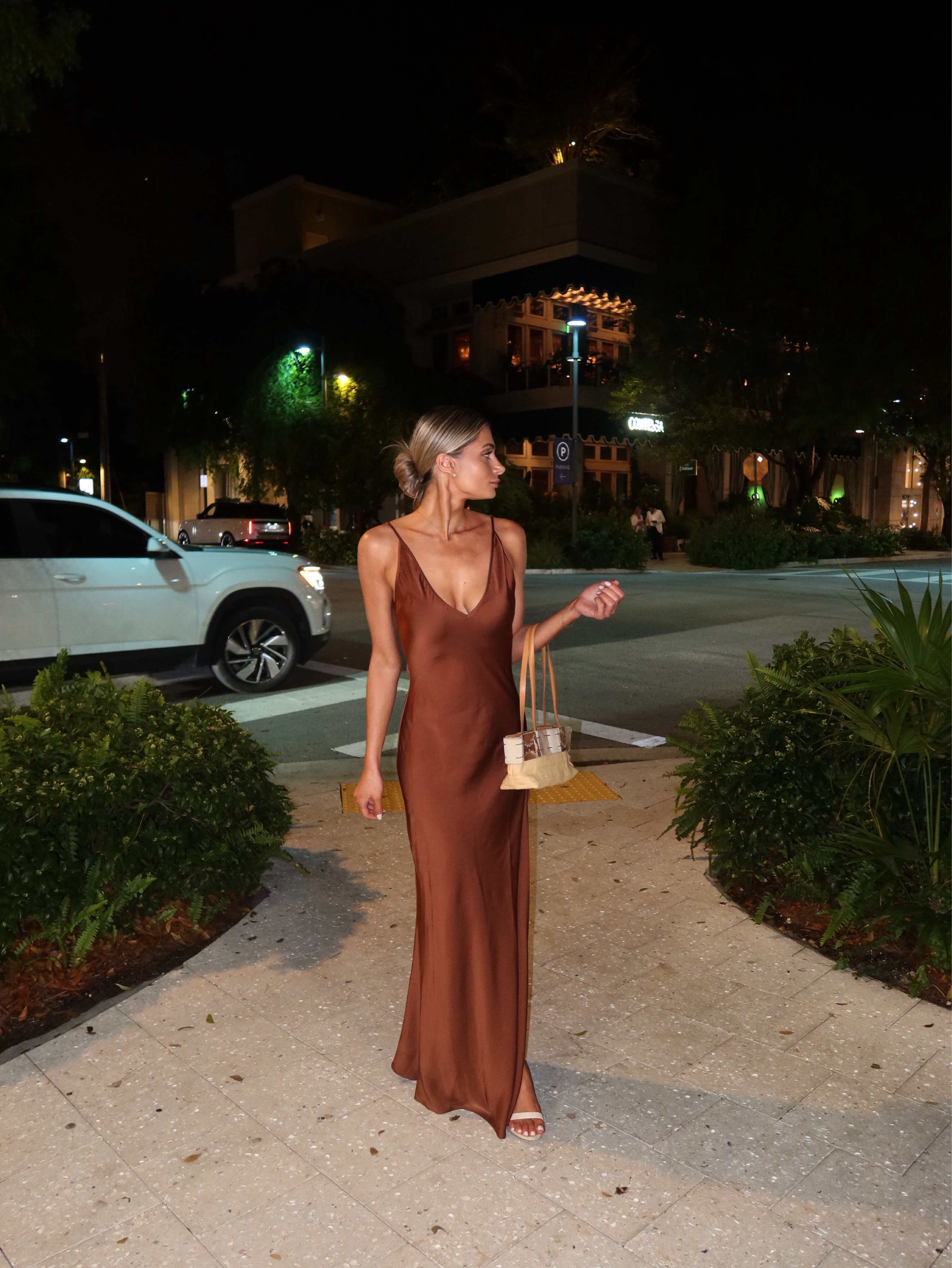 Rat and Boa Cocoa Dress