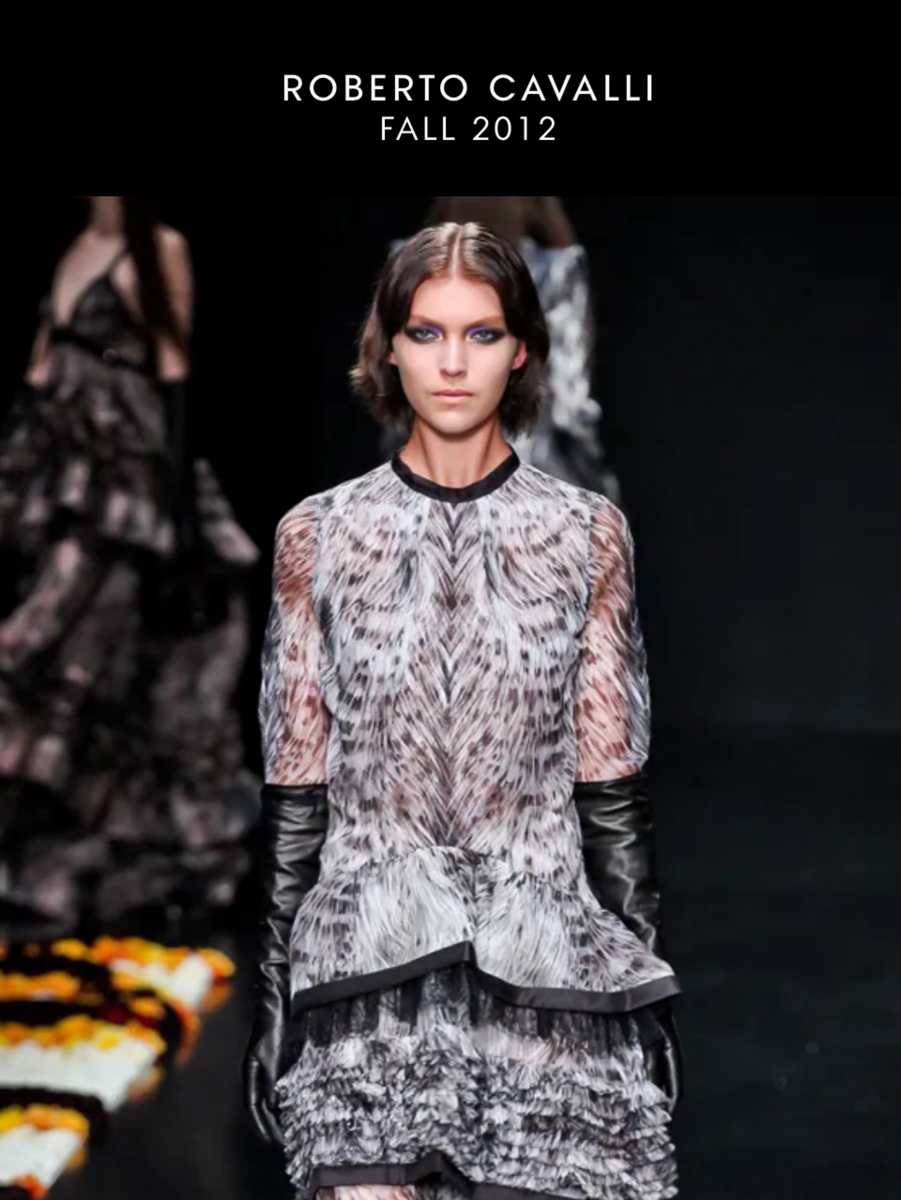 Runway, Roberto Cavalli | Fall 2012