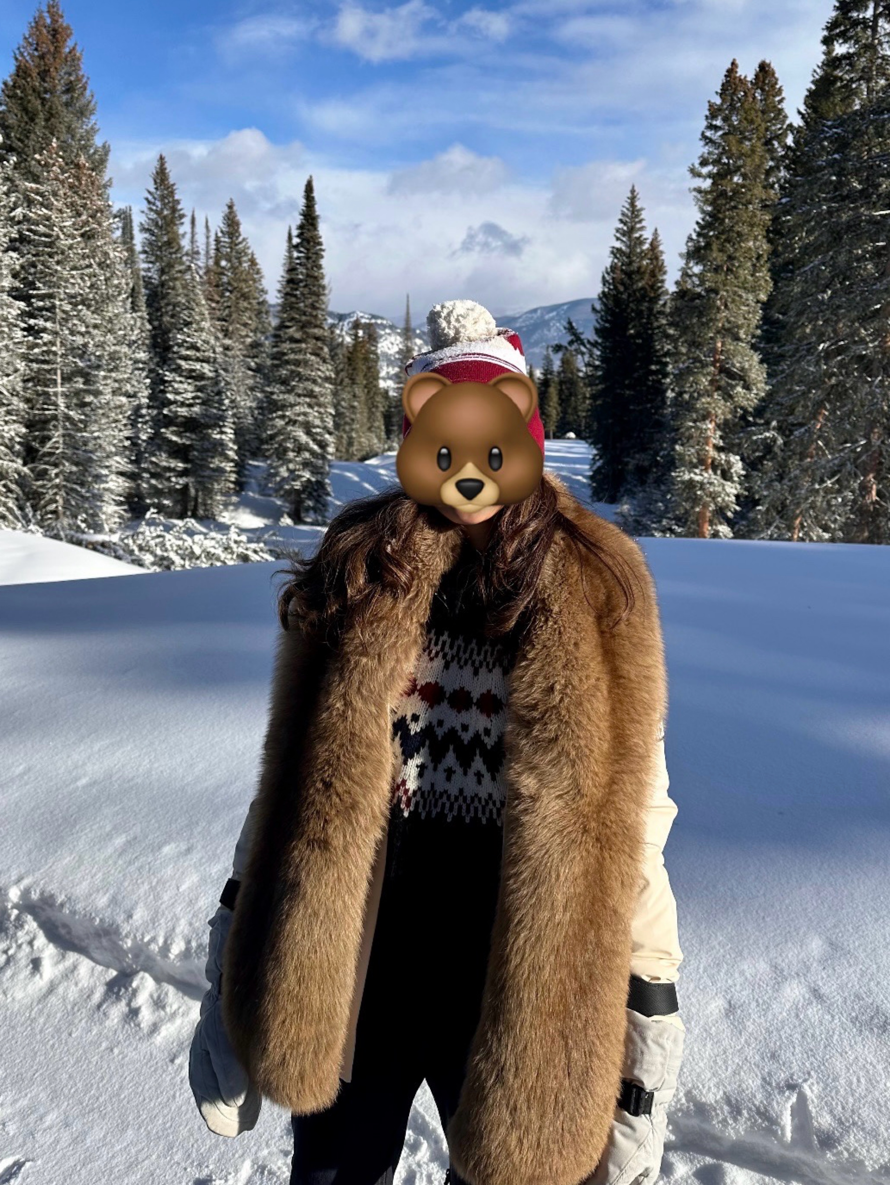 Vintage fox fur scarf