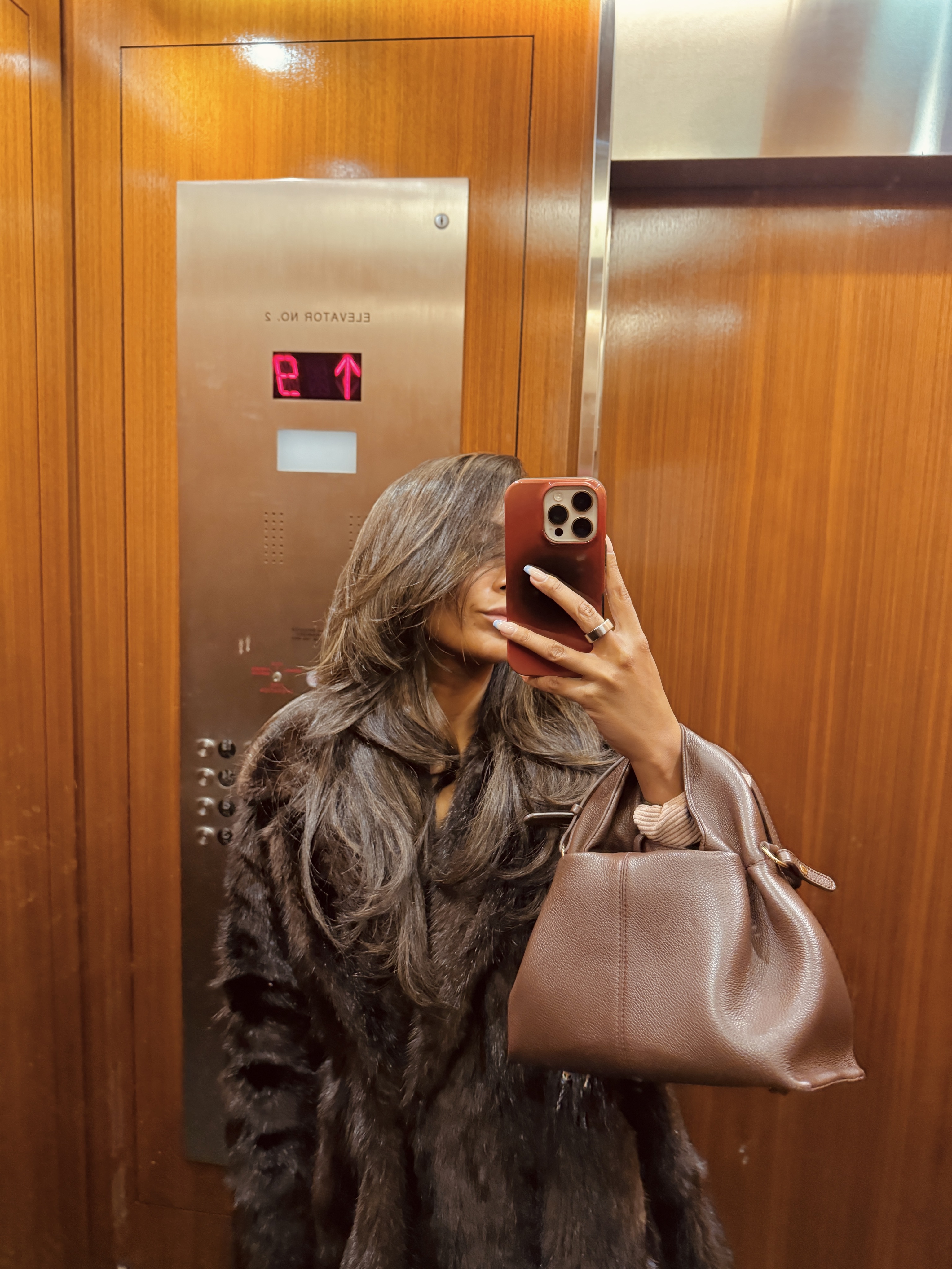 Polene Bag Dark Brown by Polene | Pickle