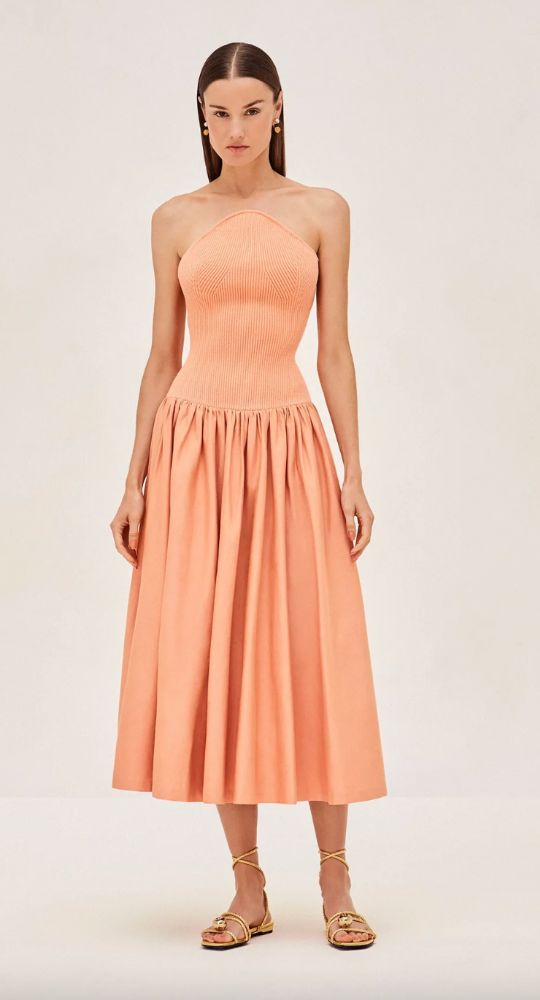 Alexis dropwaist dress