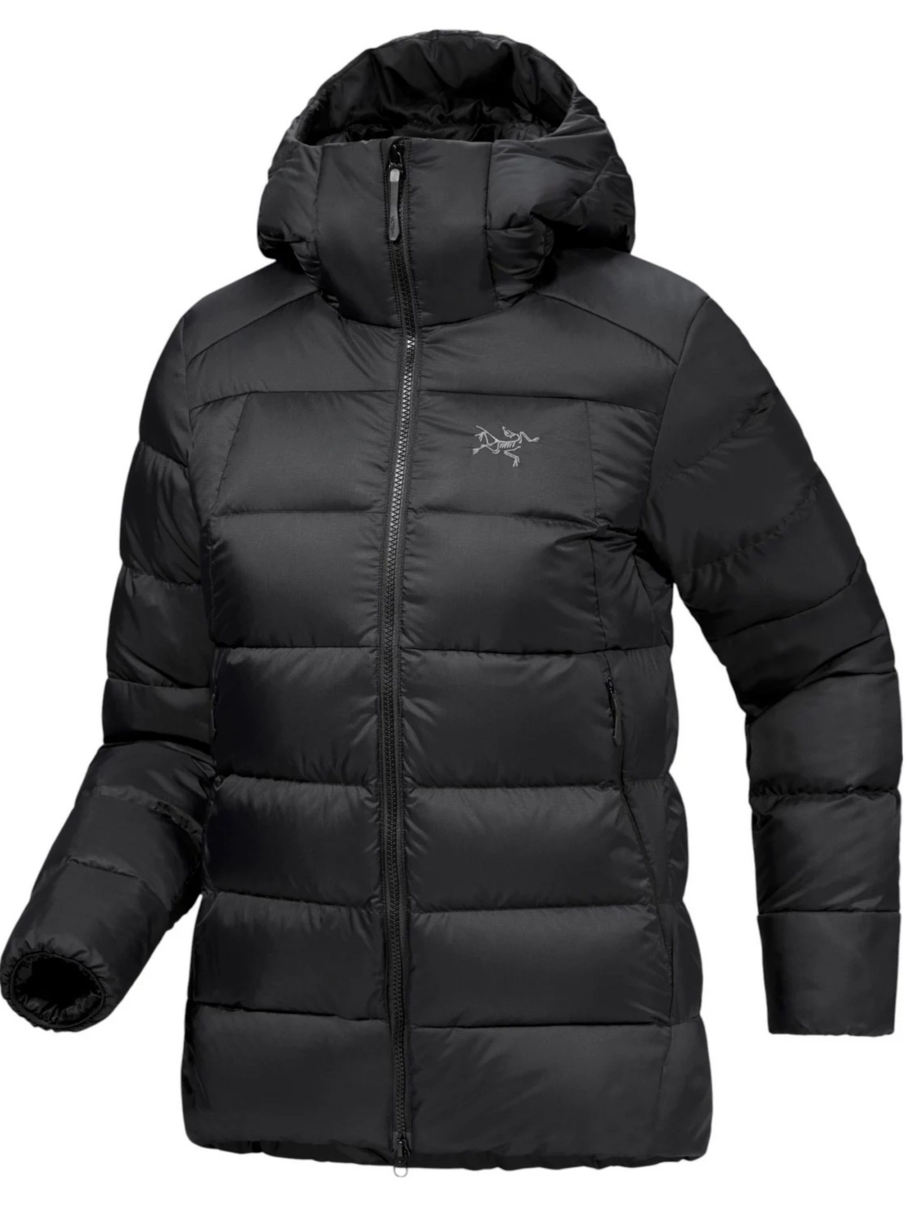arc鈥檛eryx thorium down hoodie jacket