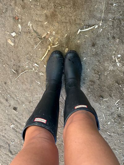 Black Hunter Boots by Hunter | Pickle