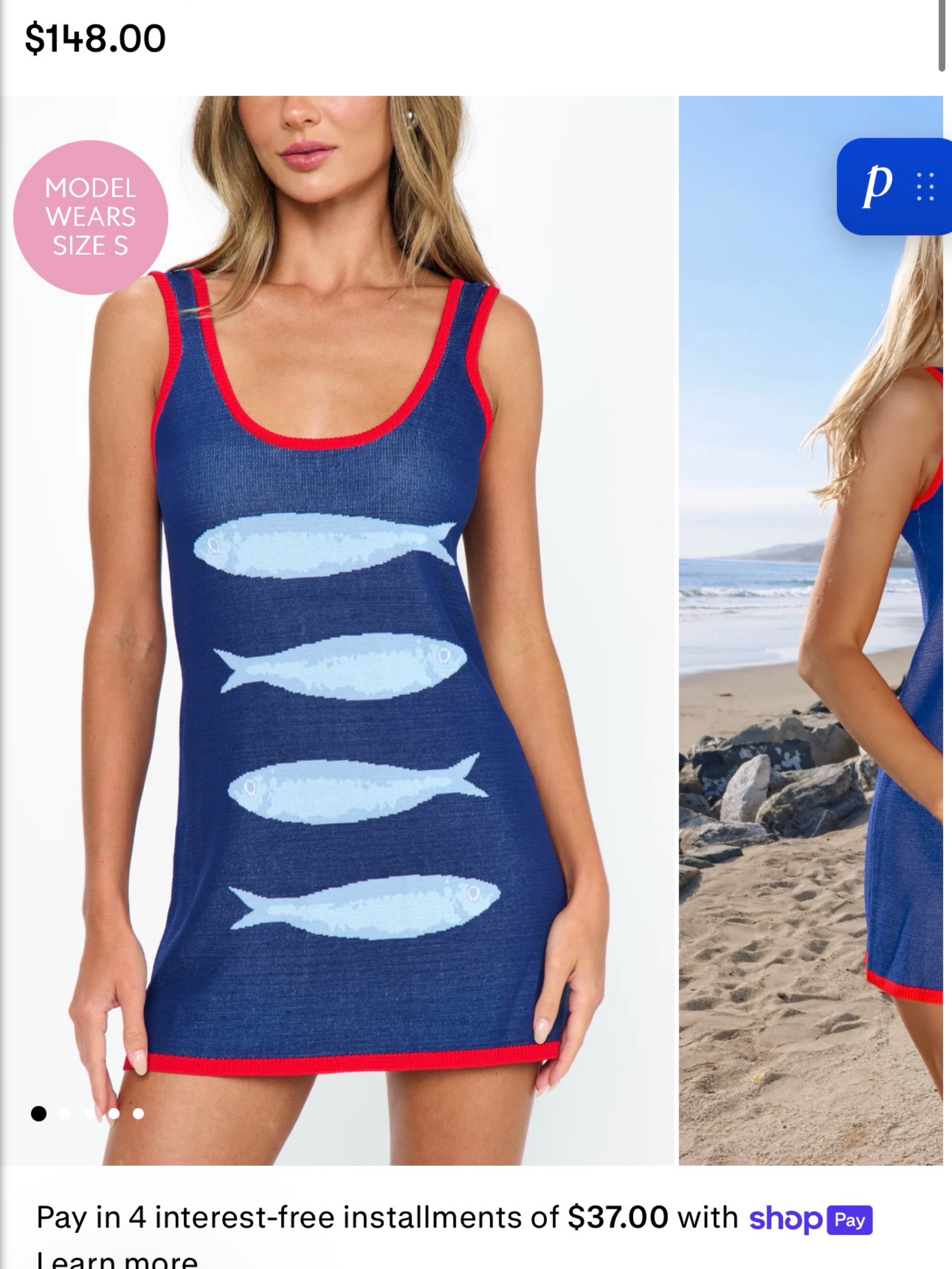 Show me your mumu sardine dress