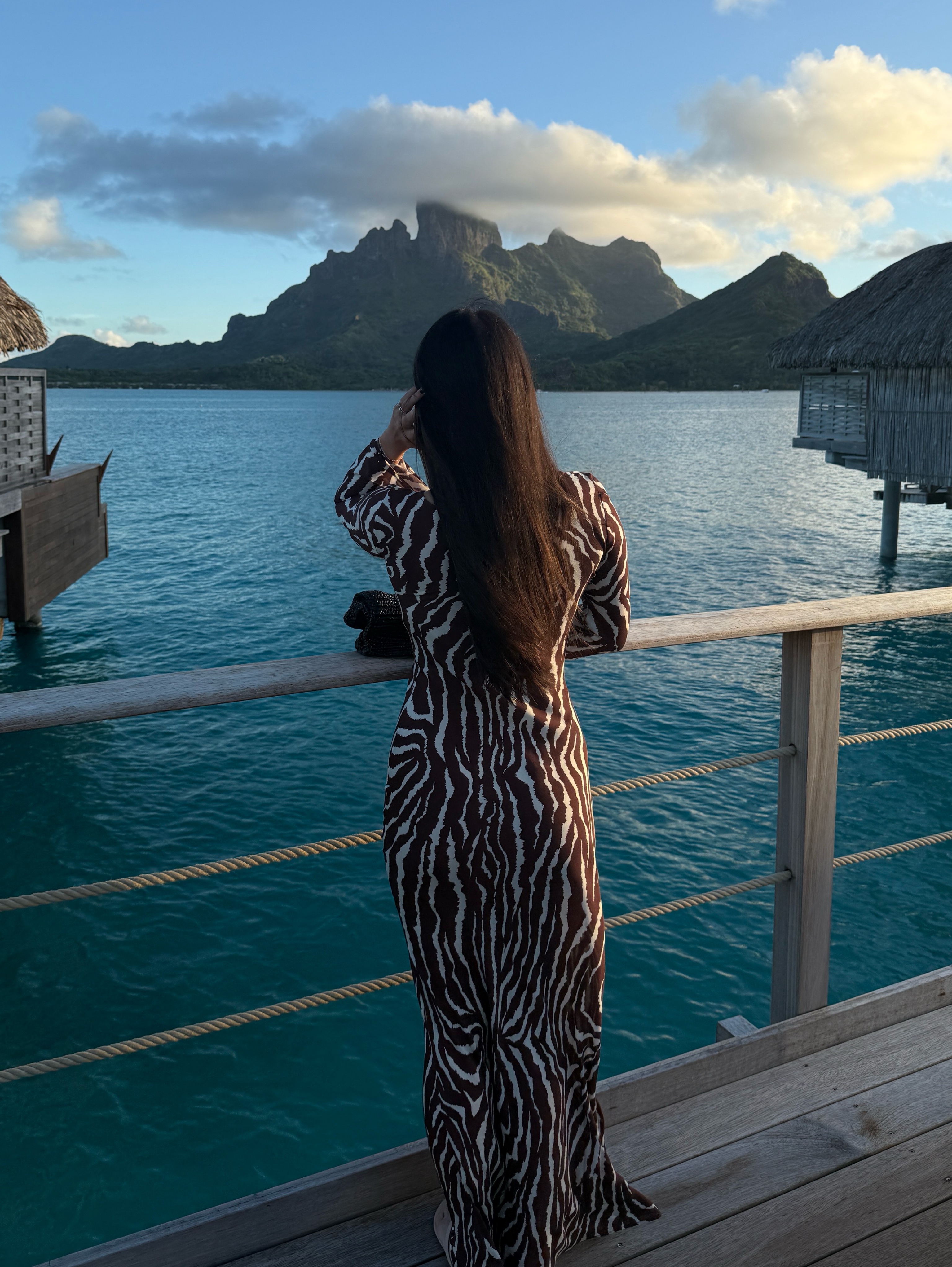 realisation par brown zebra dress Realisation Par | Dresses | Ralisation Par Large Gia Animal Silk Maxi Dress  Zebra Print