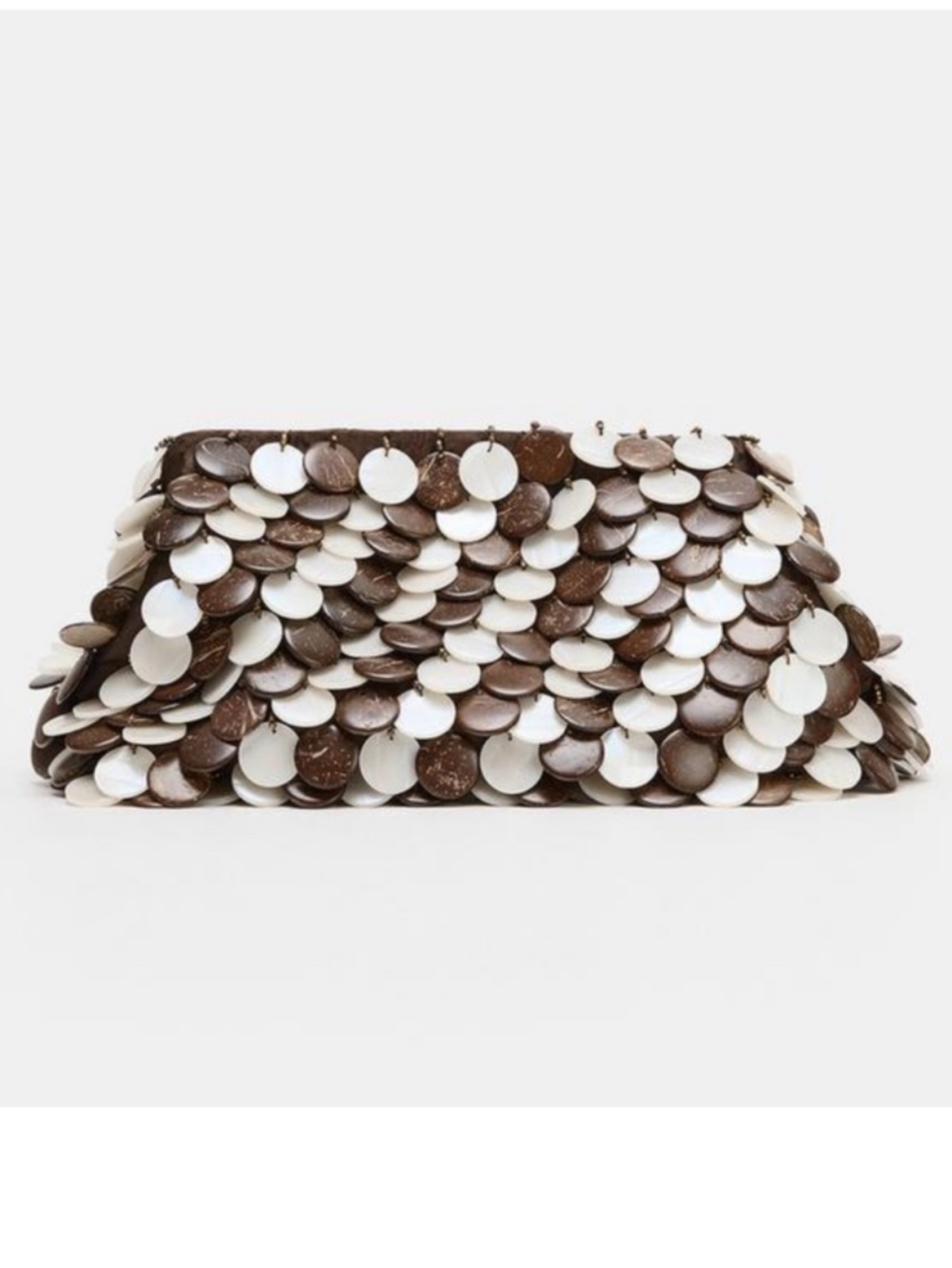 Zara Appliqué Pouch Bag