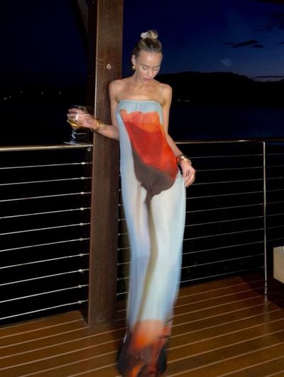 Rat & Boa Luciana Sheer Maxi Dress