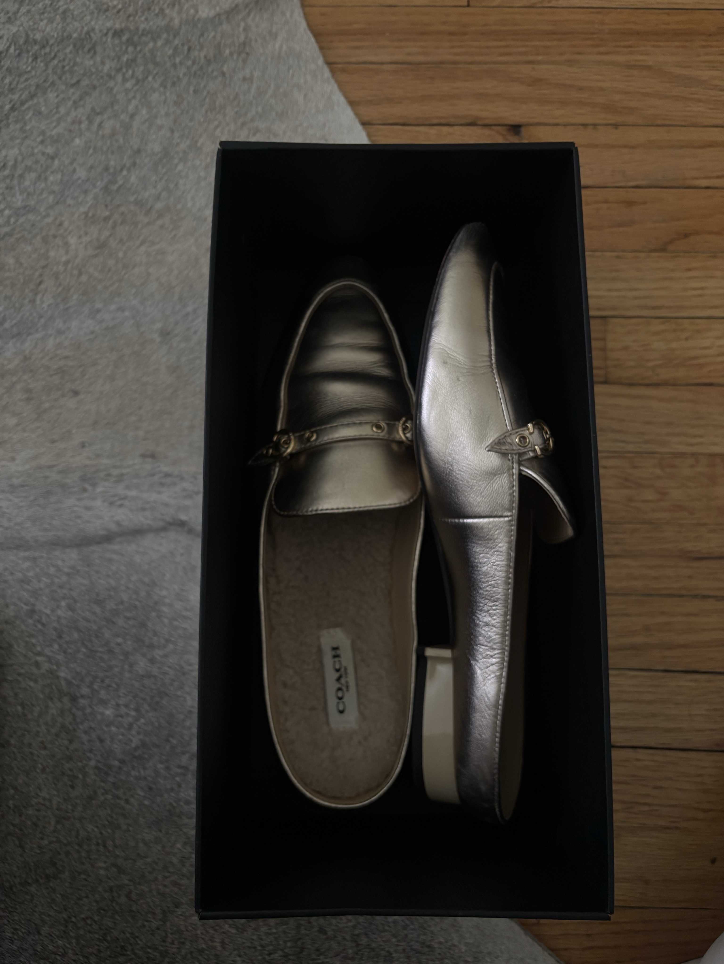 COACH シルバー ポインテッドトゥ ミュール 37.0 Coach Metallic Leather Mules by Coach - Pickle
