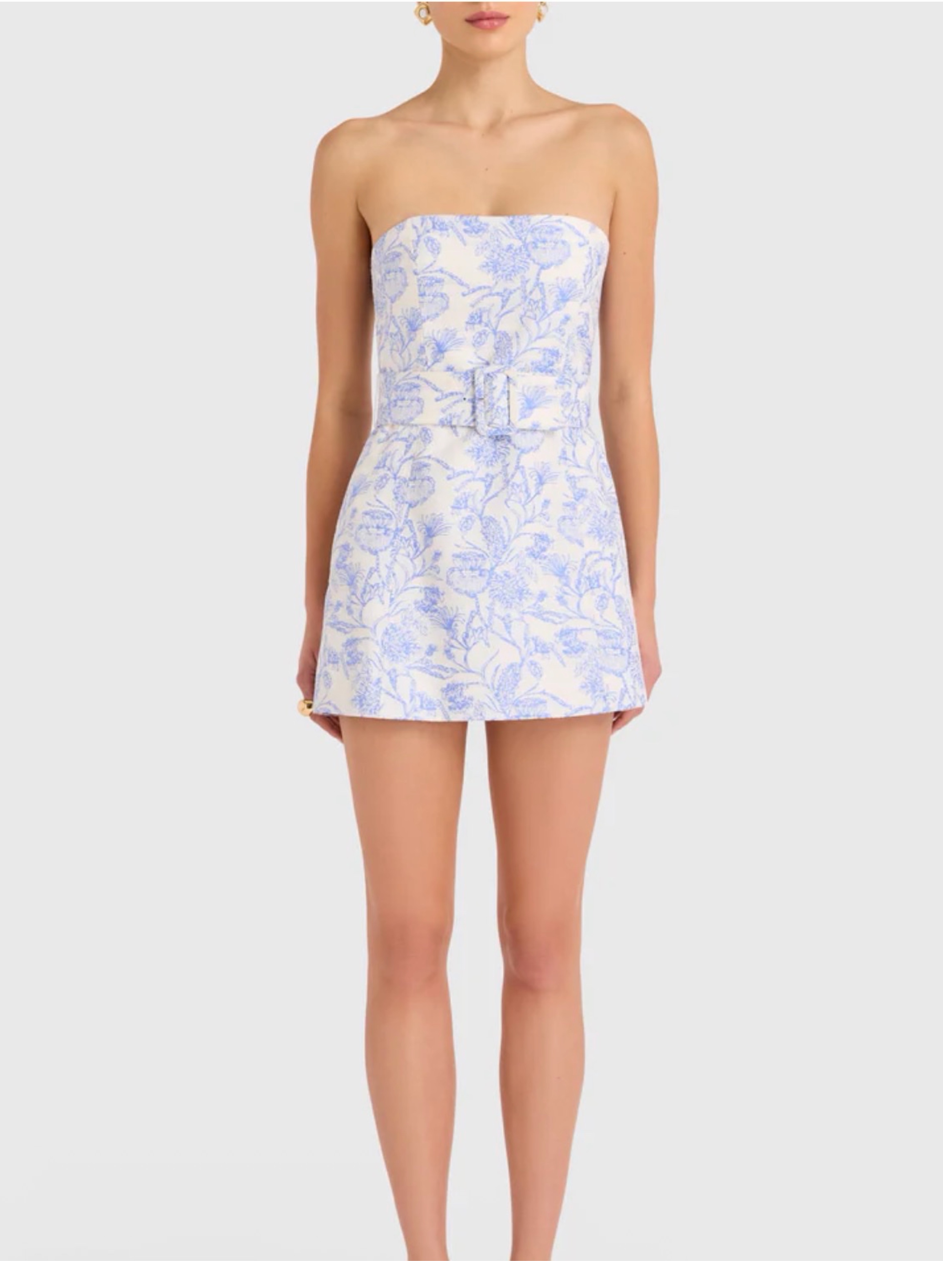 Amanda Uprichard Fae dress in Toile Brocade